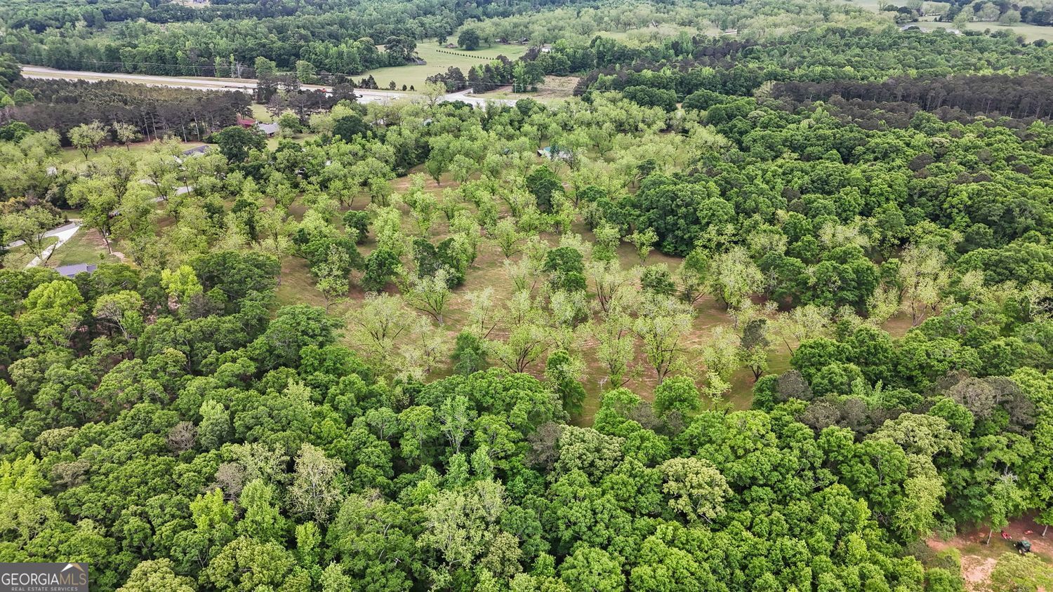 Milner, Georgia, 30257, United States, ,Land,For Sale,1859026