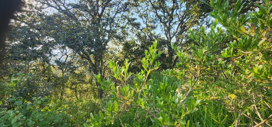 Atizapán de Zaragoza, Estado de méxico, 52938, Mexico, 1 Bedroom Bedrooms, ,Residential,For Sale,2000742