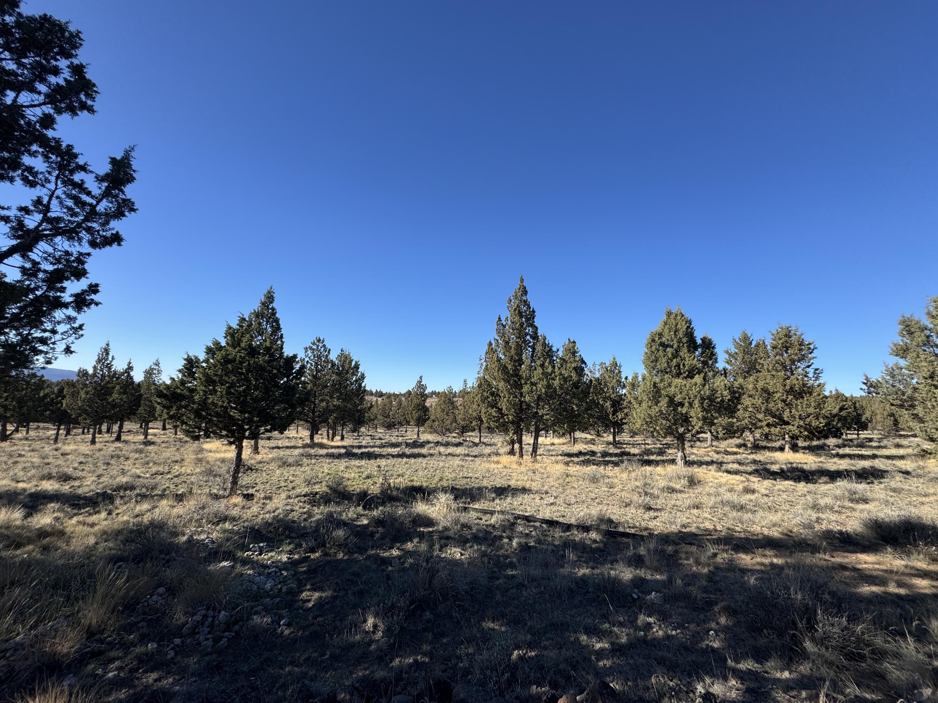 Prineville, Oregon, 97754, United States, 3 Bedrooms Bedrooms, ,2 BathroomsBathrooms,Residential,For Sale,1973827