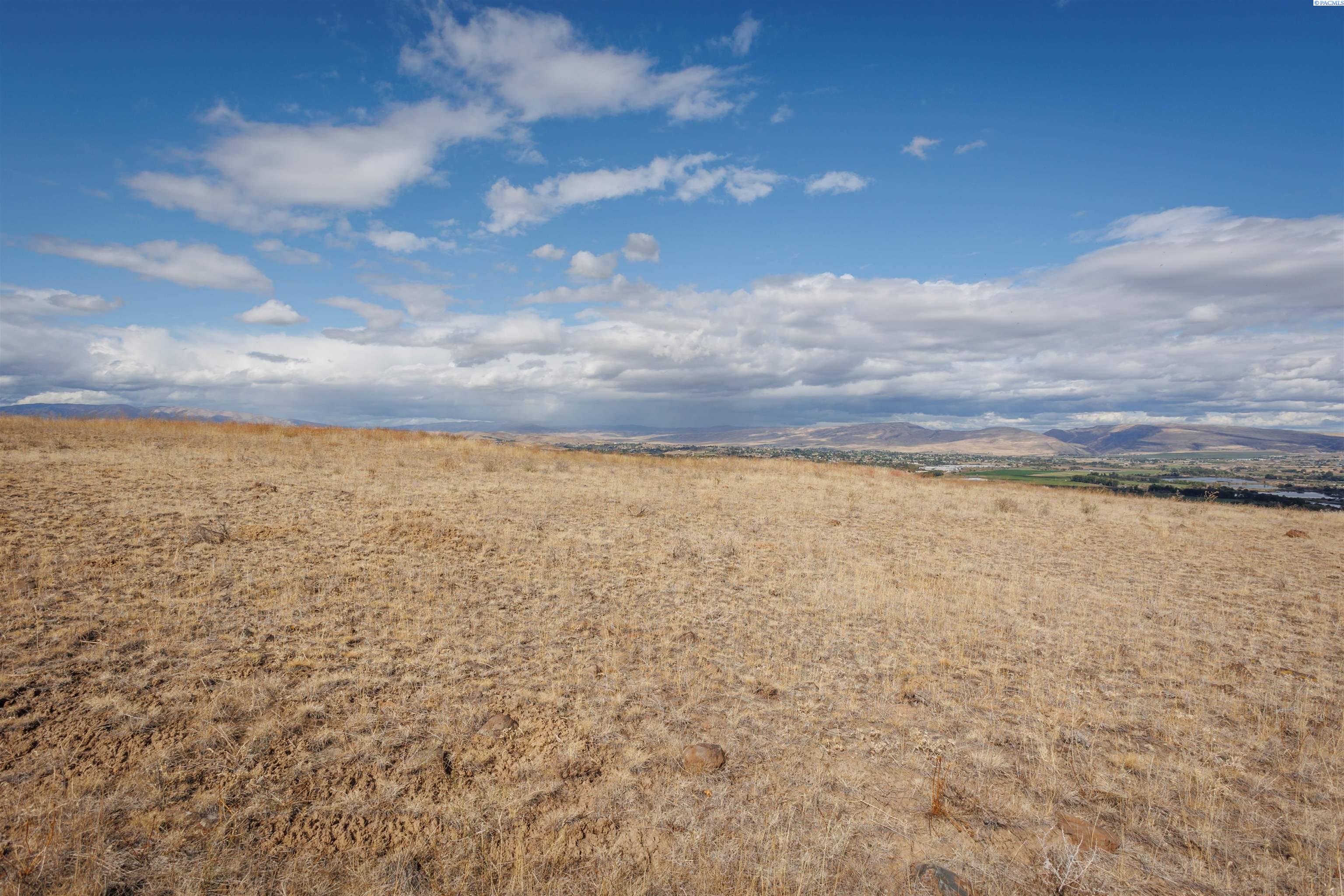 Selah, Washington, 98942, United States, ,Land,For Sale,1977738