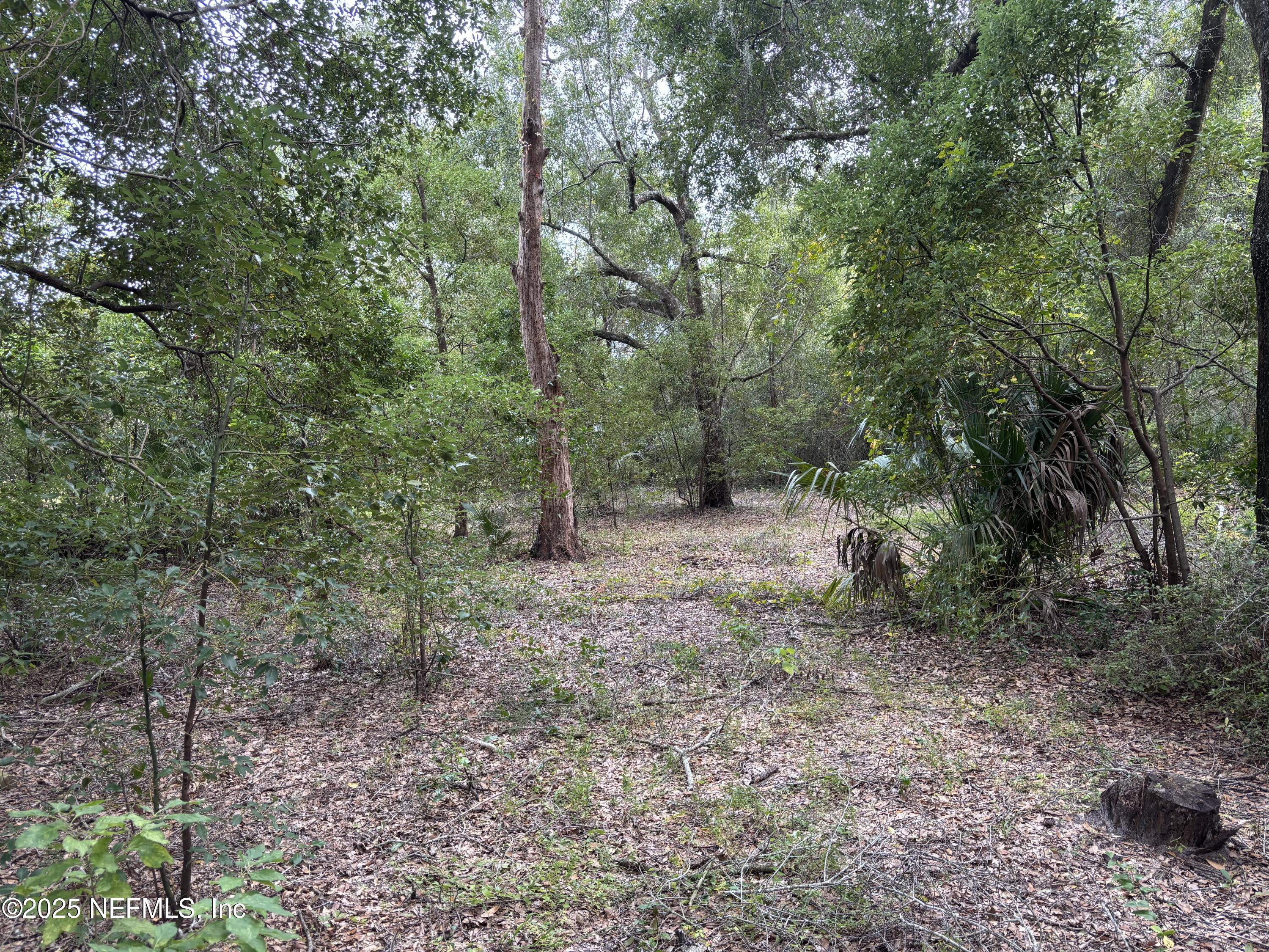 Apopka, Florida, 32712, United States, ,Land,For Sale,2002894