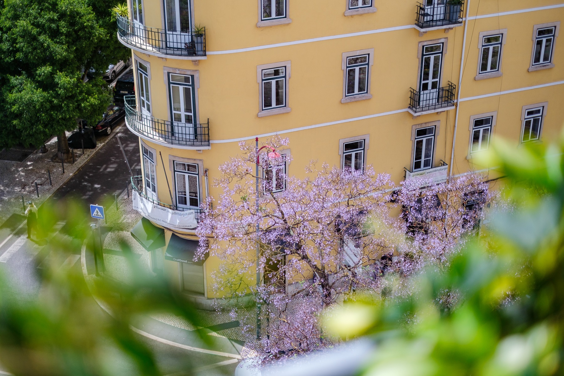  Flat, 3 bedrooms, for Sale - 物件實景