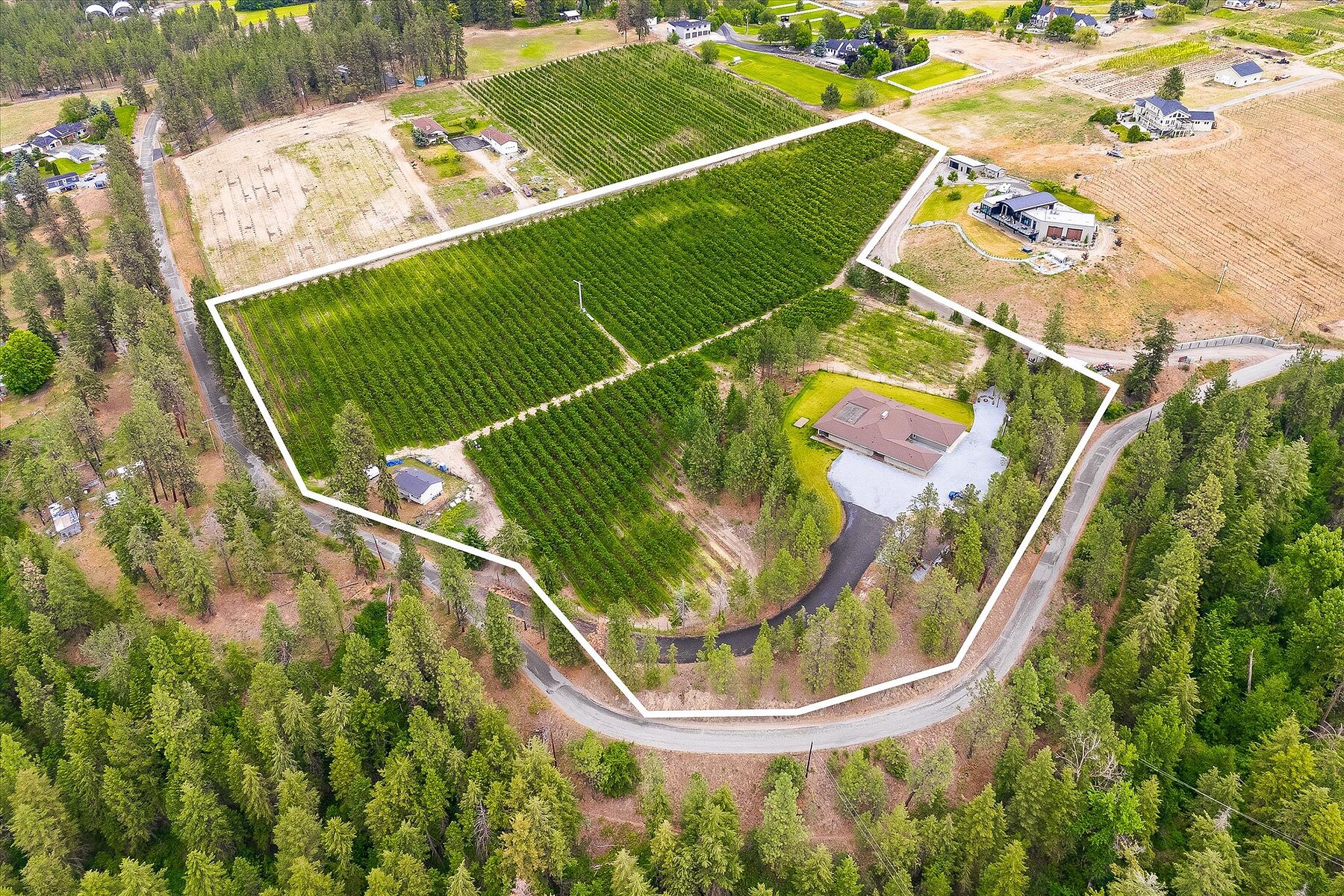  12.81 Acre Orchard - 物件實景
