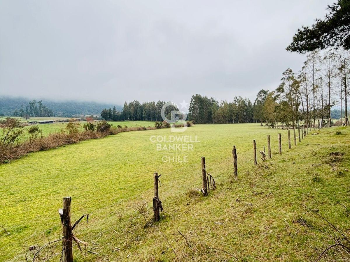 Futrono, Chile, ,Residential,For Sale,1934397