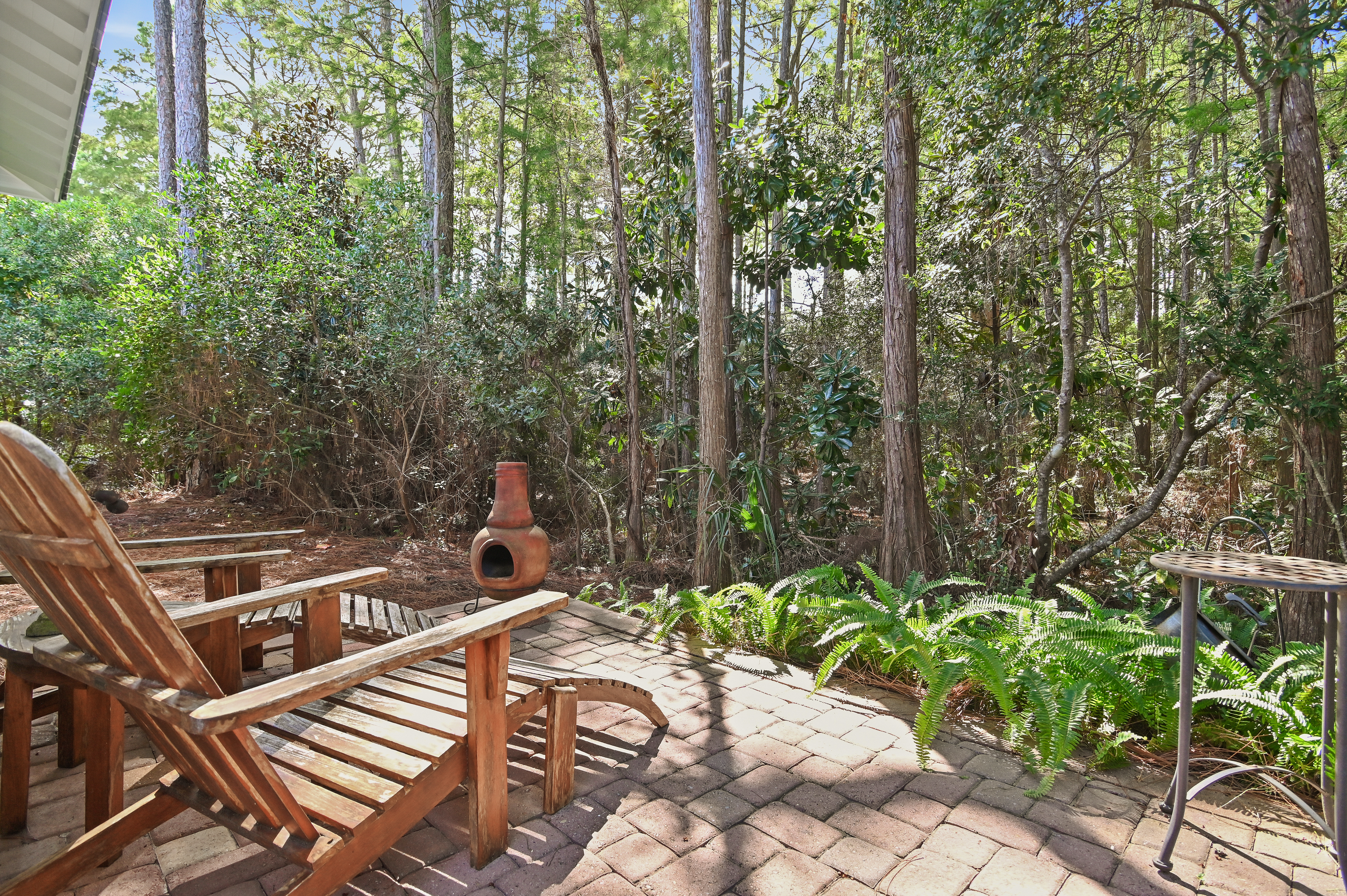  Charming Seagrove Beach Cottage Surrounded by Nature - 物件實景