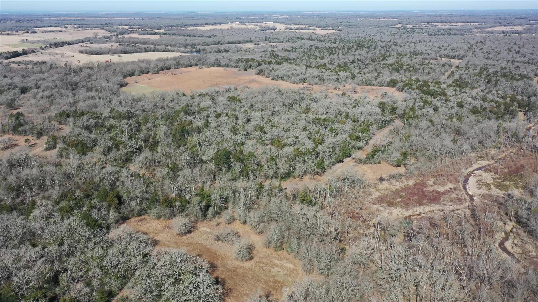 1151 Fowler Road, Bremond, Texas, 76629, United States, ,Land,For Sale,1151 Fowler Road,1621605