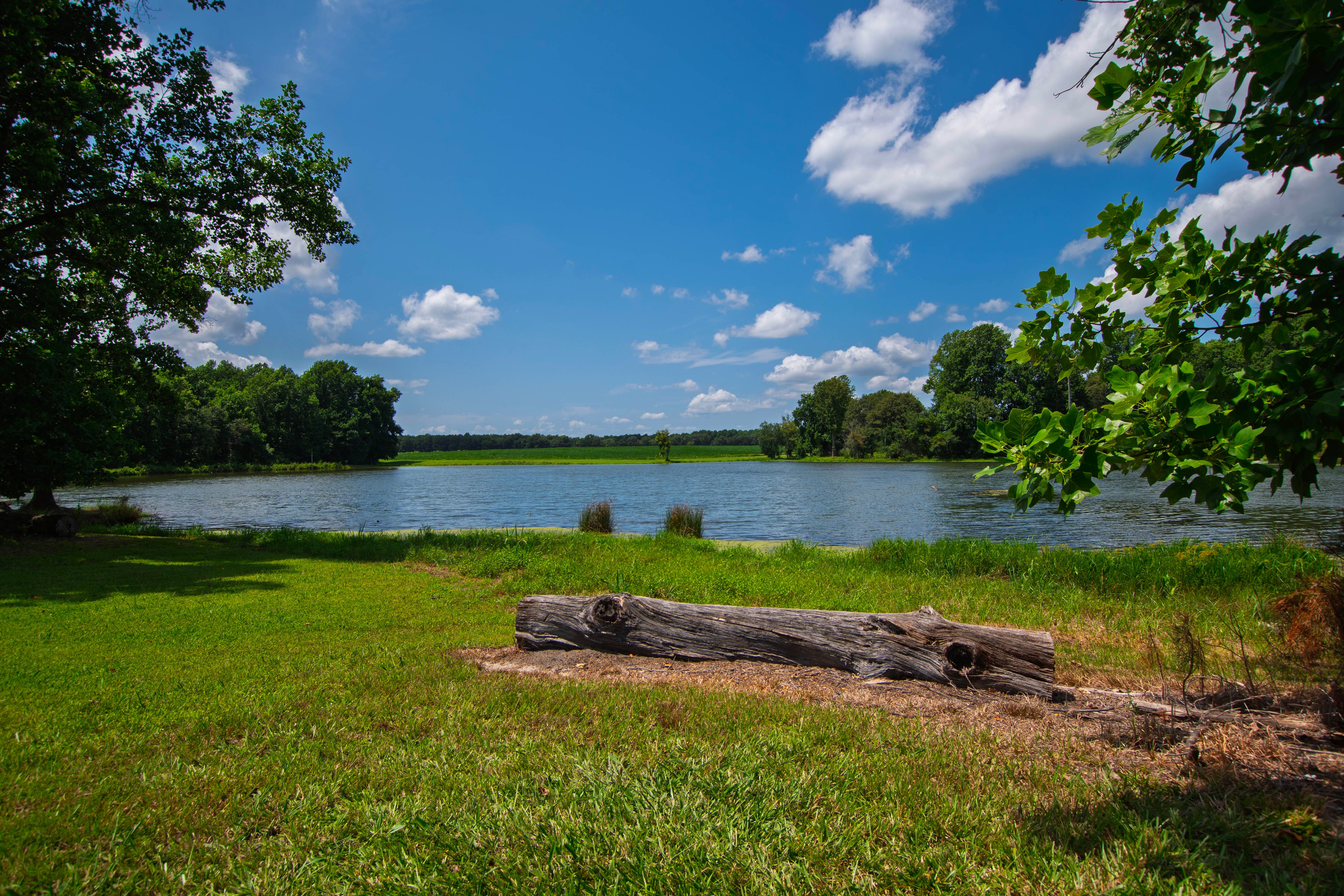  2725 Benson Hardee Road, Benson, NC 27504 - 物件實景