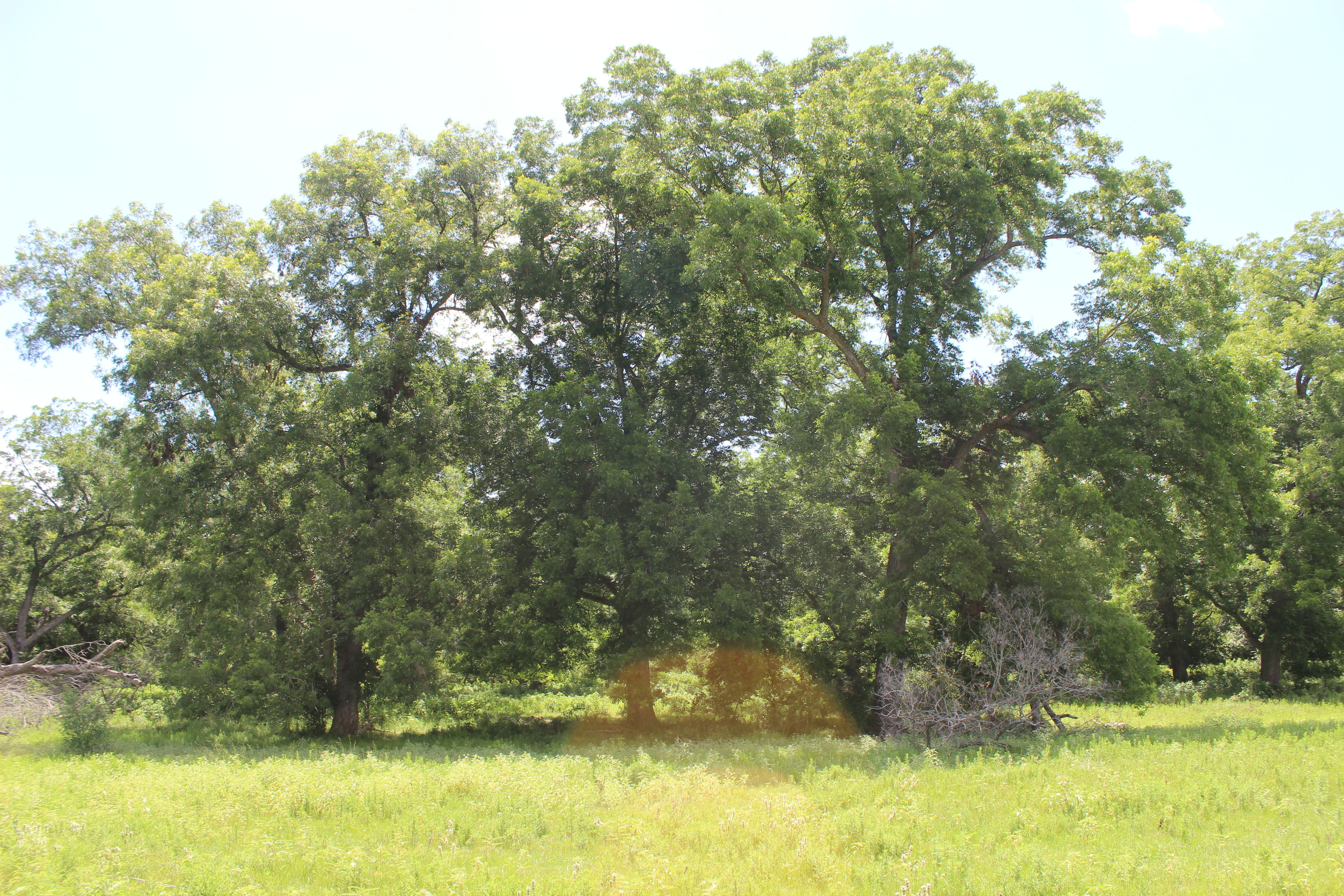  Buck Branch Ranch - 物件實景