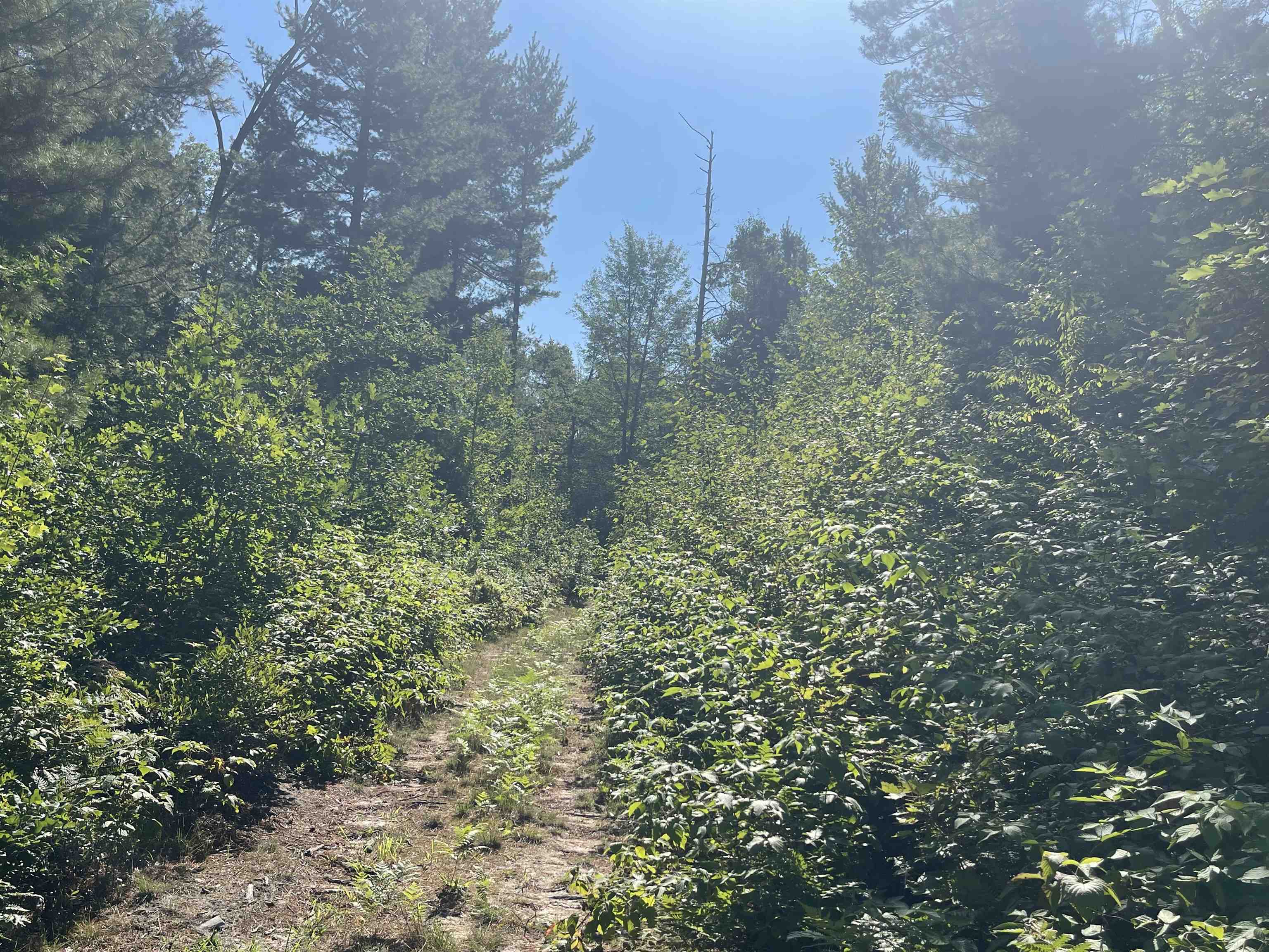 Harrison, Michigan, 48625, United States, 3 Bedrooms Bedrooms, ,3 BathroomsBathrooms,Residential,For Sale,2007492