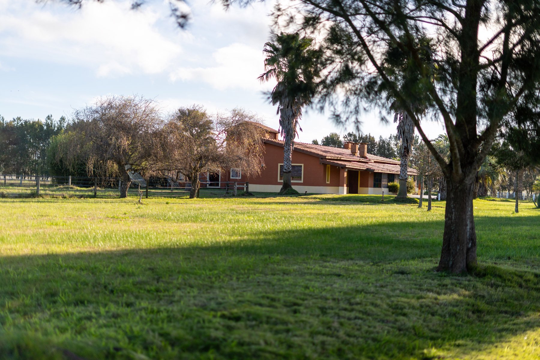 NAHUEL Stud Farm - 物件實景