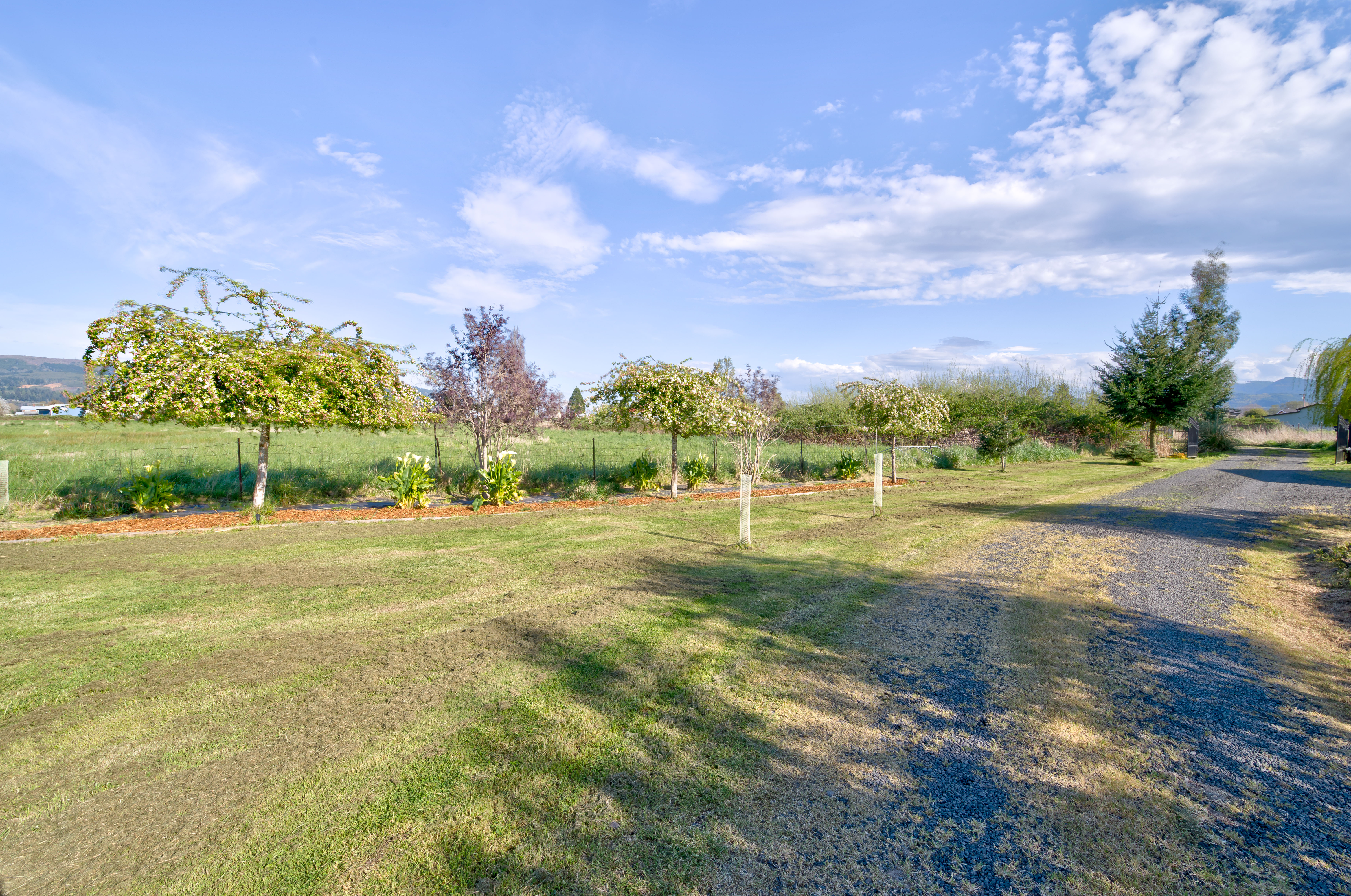  31 Blue Skies Lane, Cathlamet, WA 98612 - 物件實景