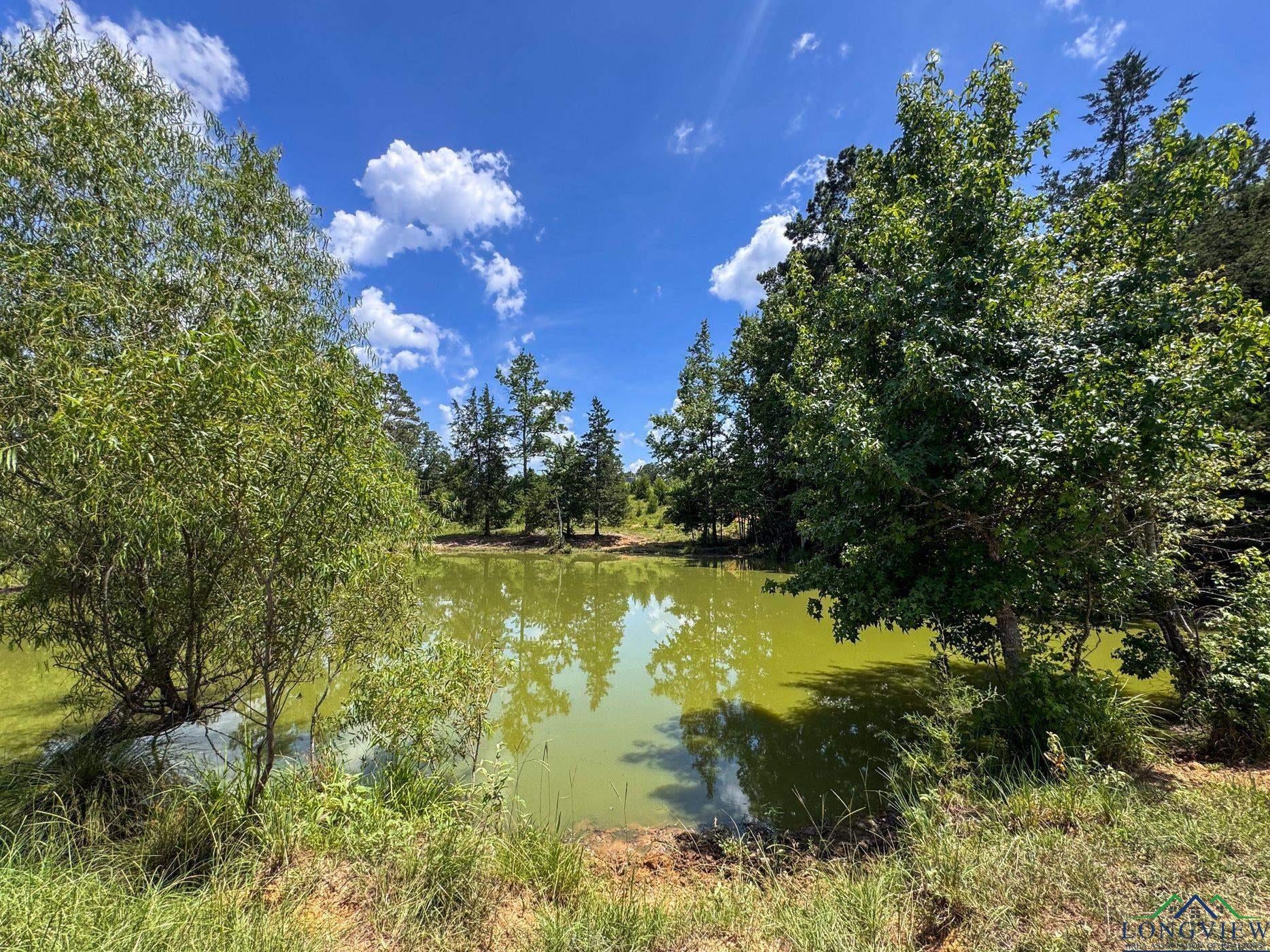 Linden, Texas, 75563, United States, 3 Bedrooms Bedrooms, ,3 BathroomsBathrooms,Residential,For Sale,1974630