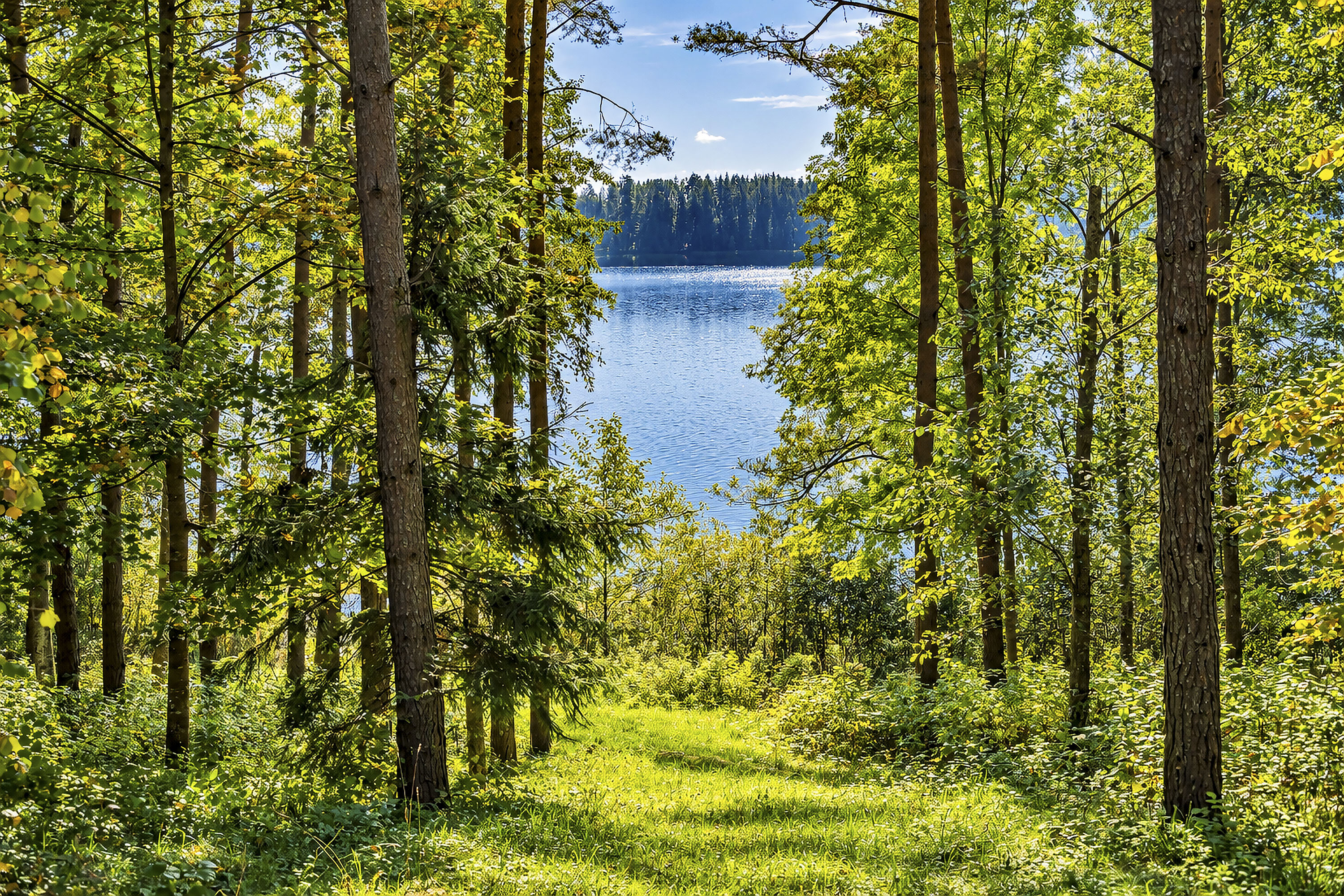  Your place by the lake, surrounded by forest - 物件實景