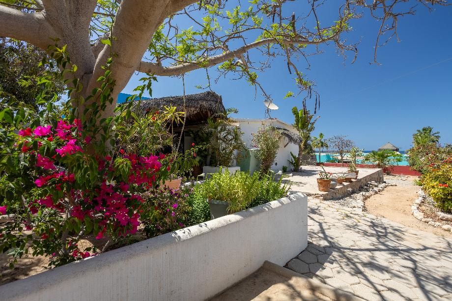 Los Cabos, Baja California Sur, 23540, Mexico, 2 Bedrooms Bedrooms, ,1 BathroomBathrooms,Residential,For Sale,1827776