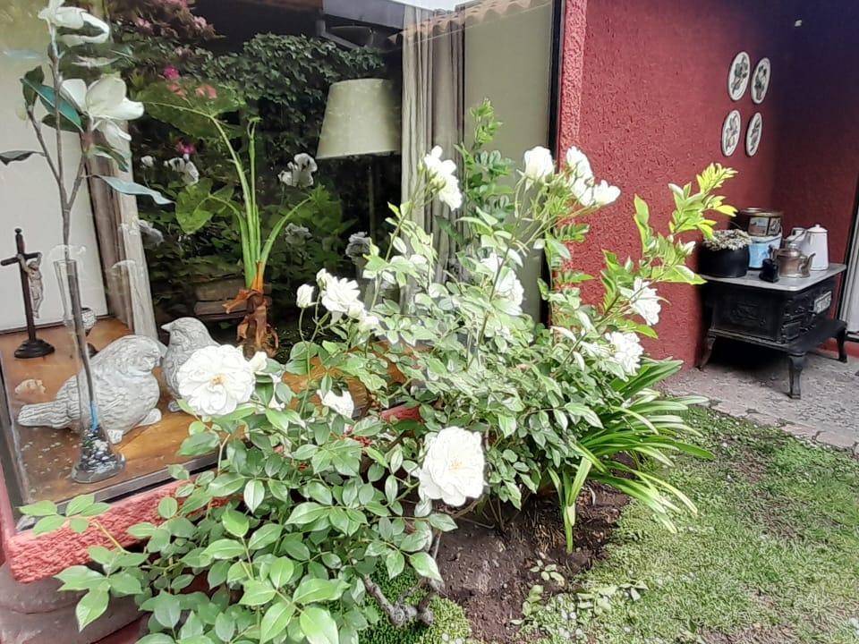 La Reina, Chile, 4 Bedrooms Bedrooms, ,4 BathroomsBathrooms,Residential,For Sale,1988154