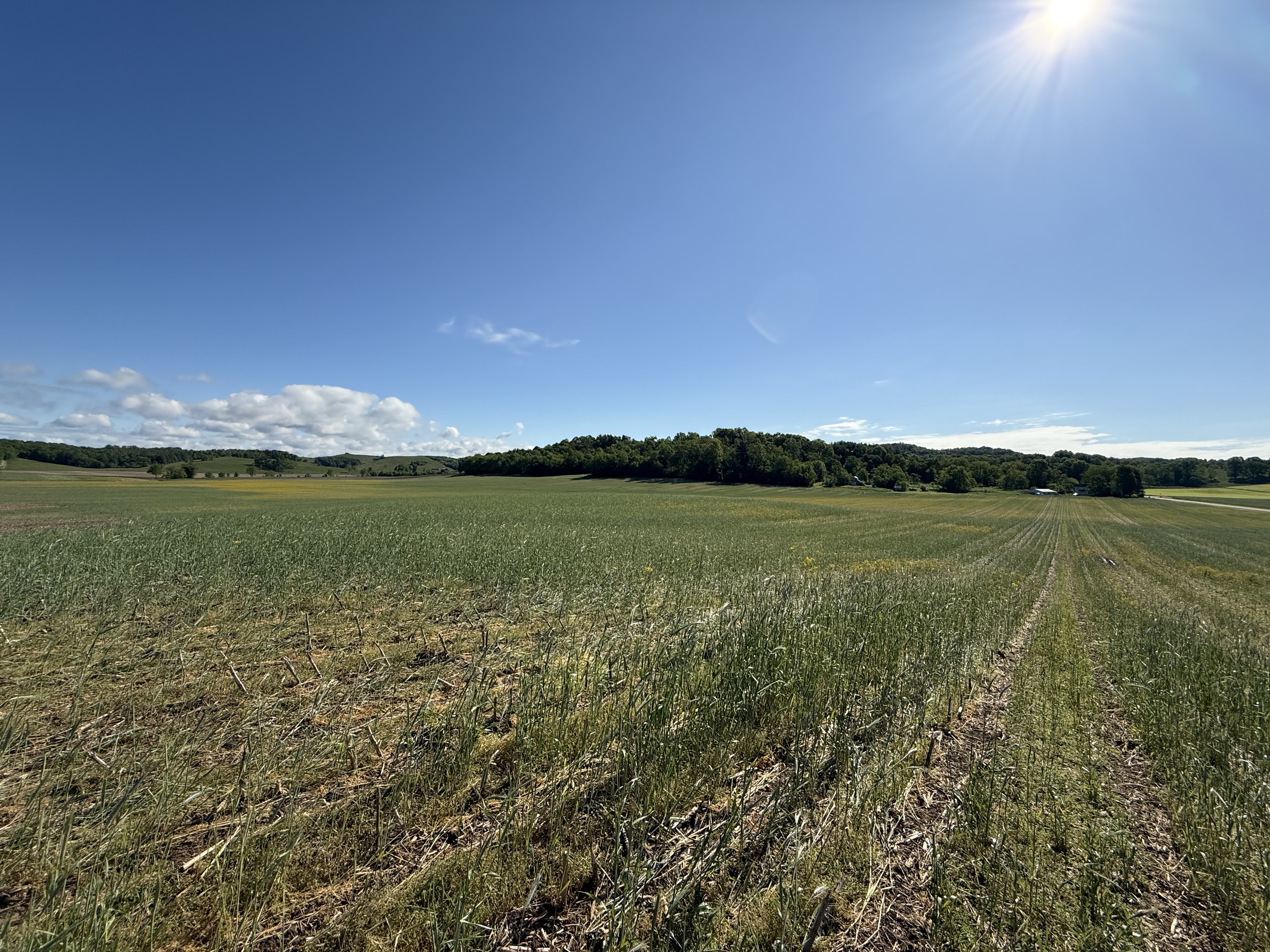 West Lafayette, Ohio, 43845, United States, ,Residential,For Sale,1825407