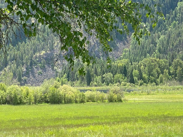 Priest River, Idaho, 83856, United States, ,Land,For Sale,2006127