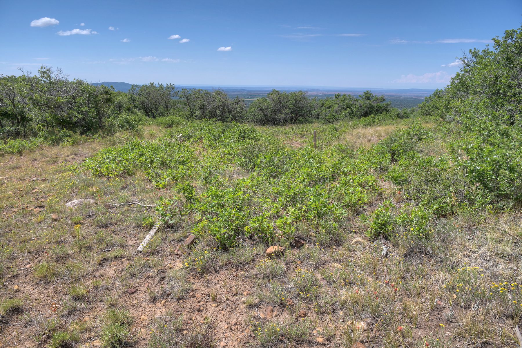  TBD Cross Creek Road, Hesperus, CO 81326 - 物件實景