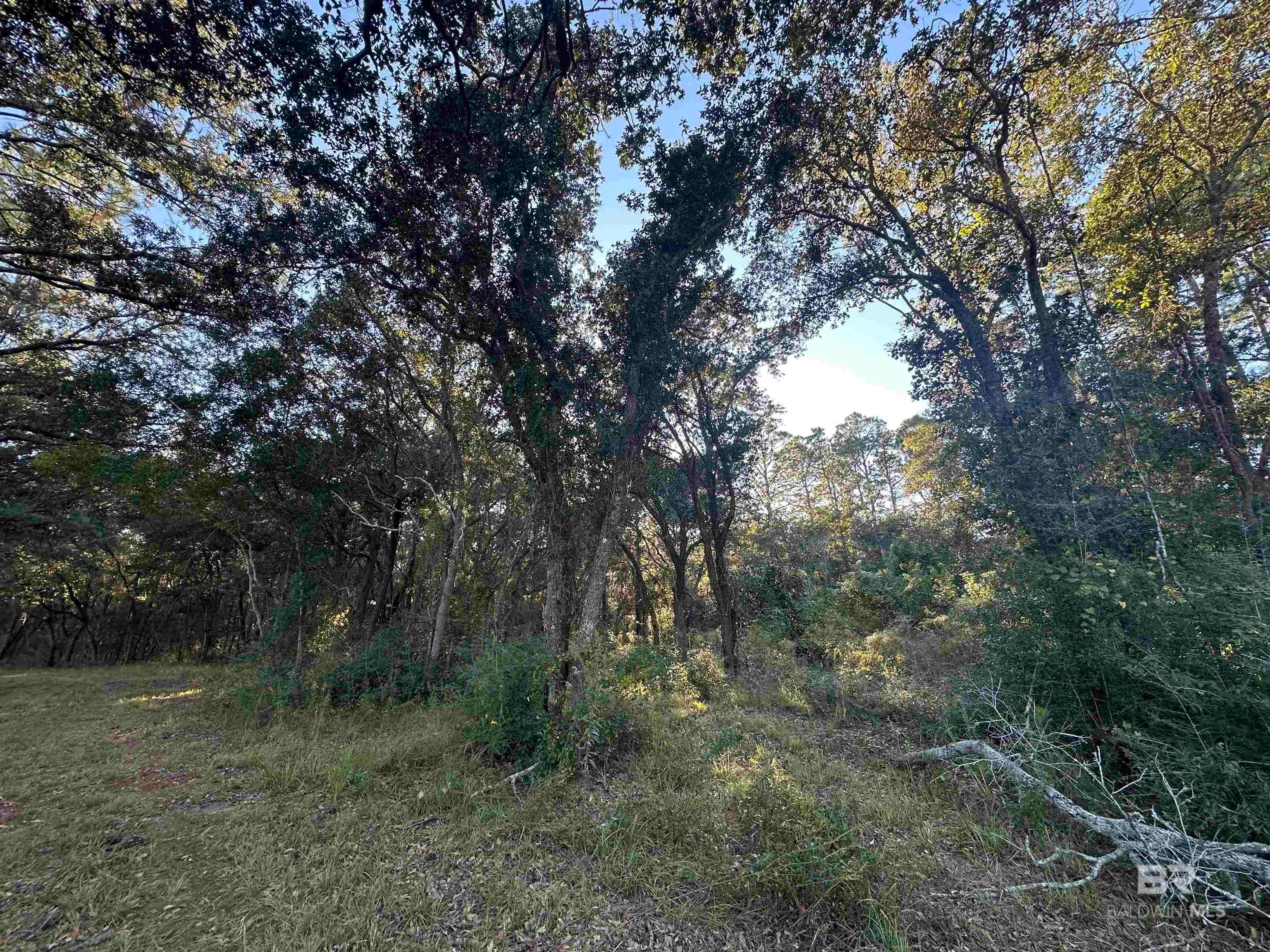 Foley, Alabama, 36535, United States, ,Land,For Sale,1992817