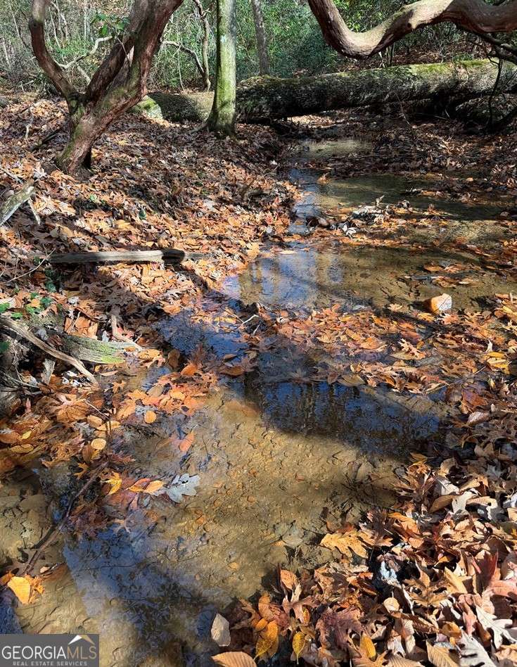 Blue Ridge, Georgia, 30513, United States, 3 Bedrooms Bedrooms, ,Residential,For Sale,1996242