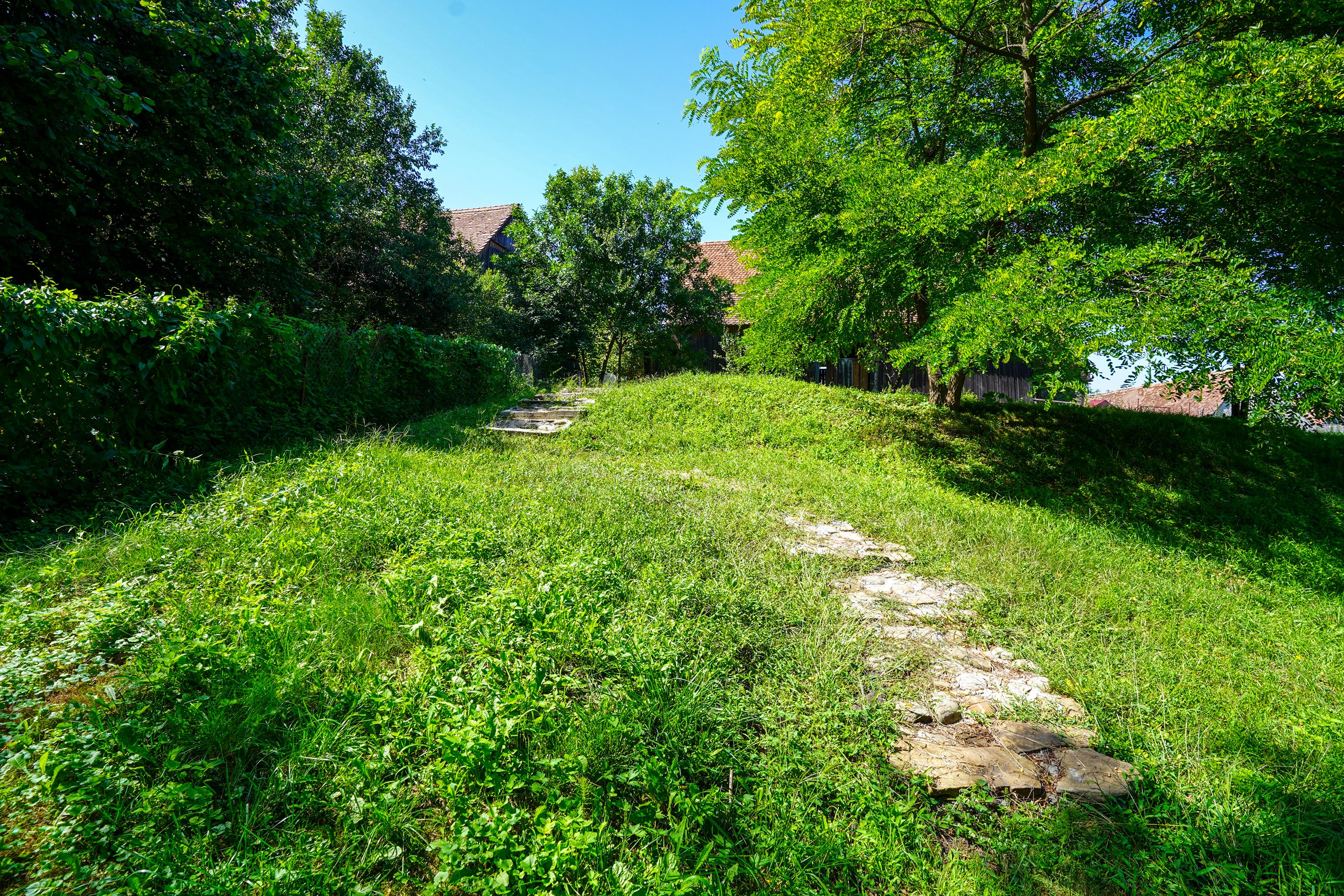  Restored Authentic Saxon House in Viscri, Between Heritage and Nature - 物件實景