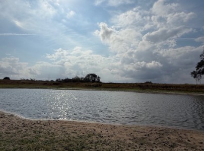 Runge, Texas, 78151, United States, 3 Bedrooms Bedrooms, ,2 BathroomsBathrooms,Residential,For Sale,1996621