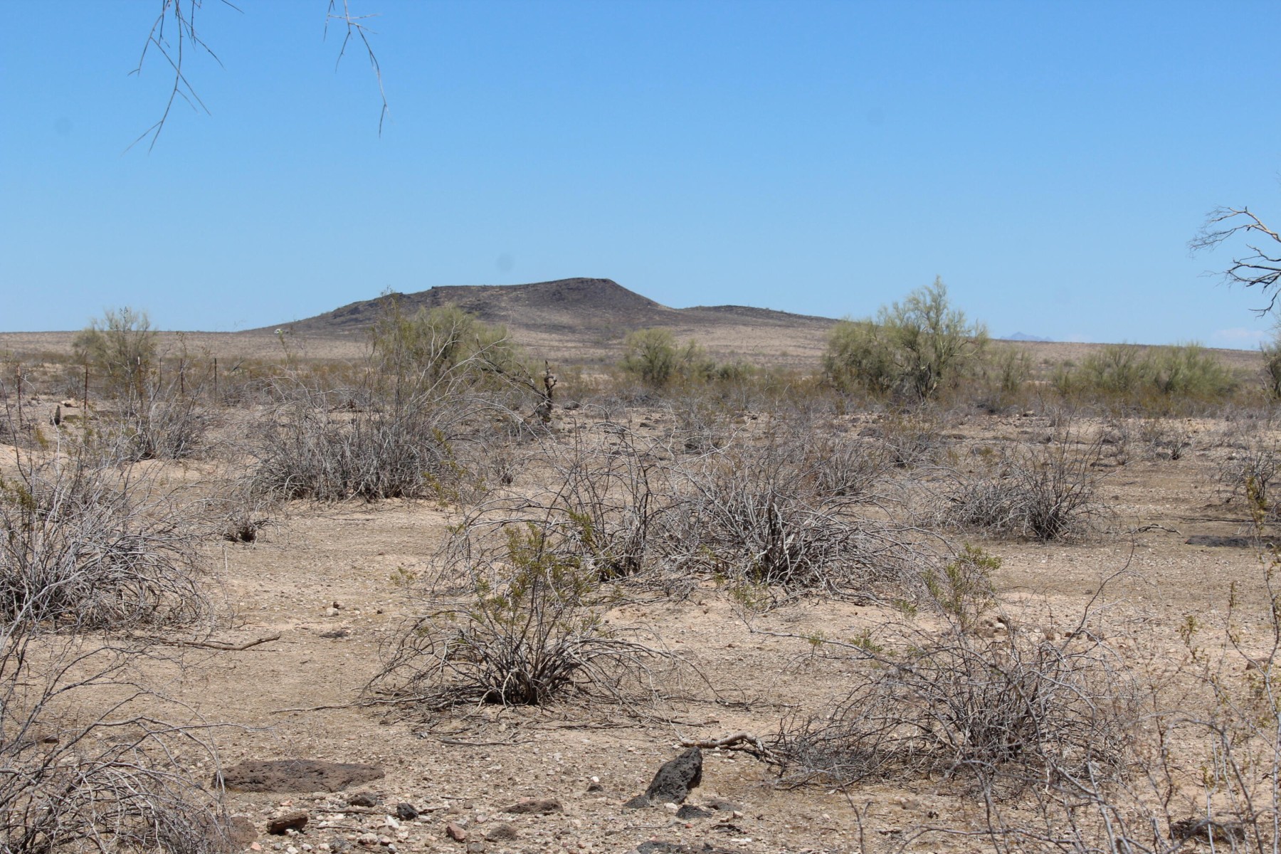  11 S 337th Avenue, Arlington, AZ, 85322 - 物件實景