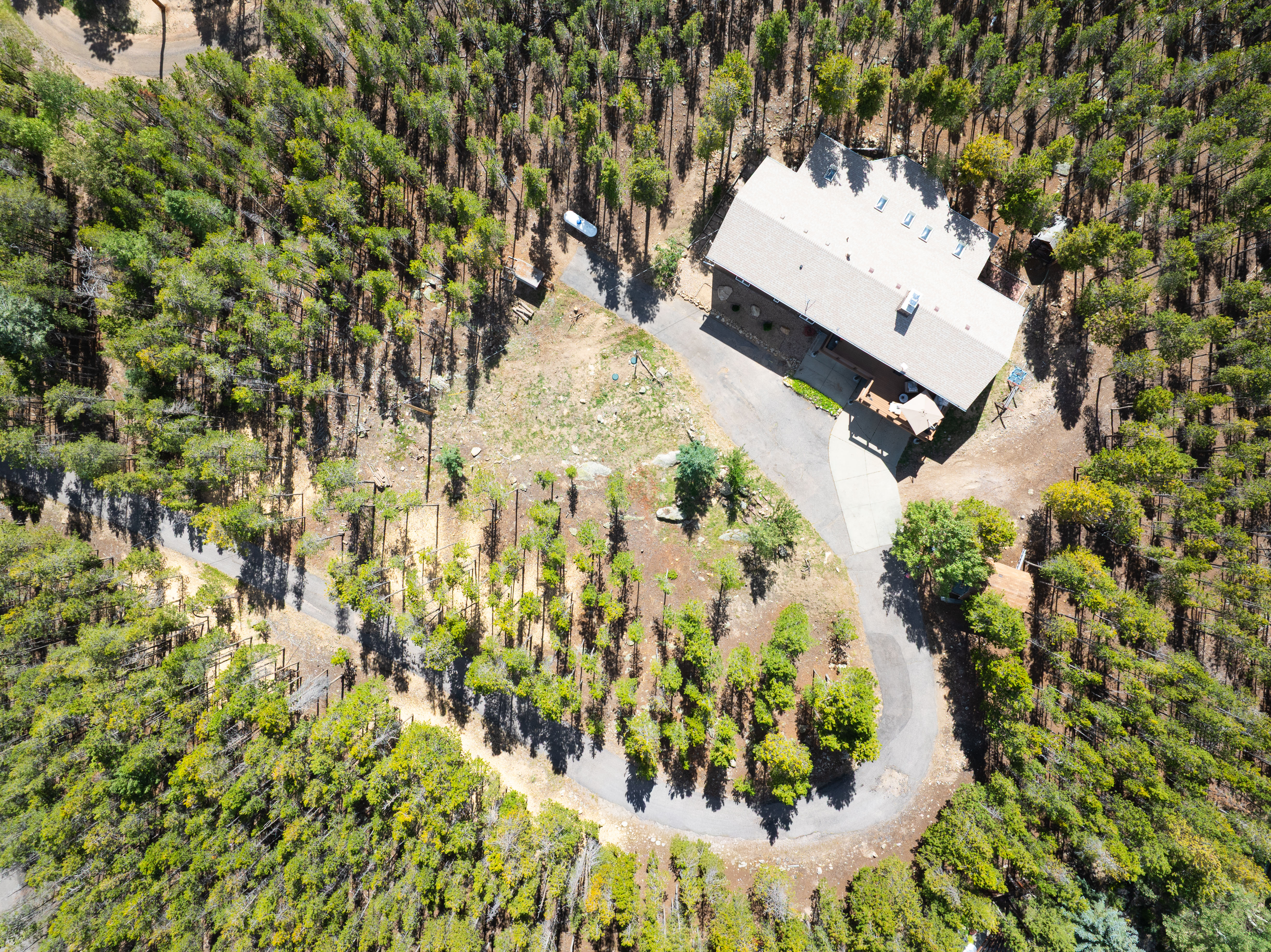  The Ultimate Private Mountain Retreat - 物件實景