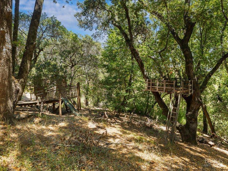 Novato, California, 94947, United States, 5 Bedrooms Bedrooms, ,4 BathroomsBathrooms,Residential,For Sale,1973889