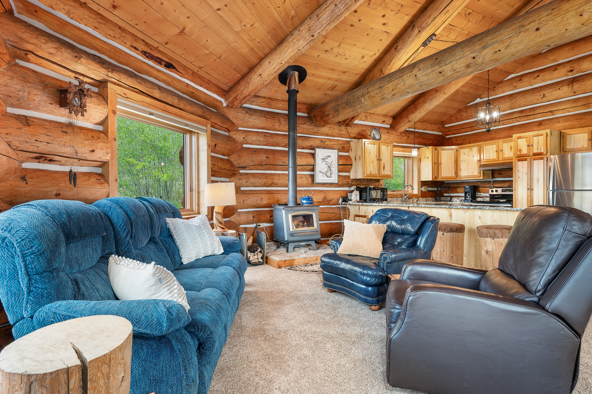  135 Gcr 4110, Granby, CO, 80446 - 物件實景