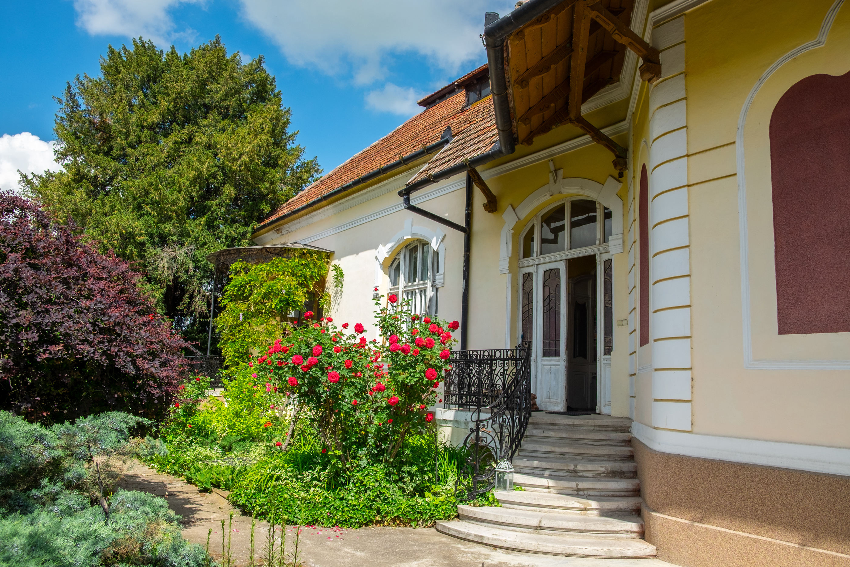  Ferch Manor - History and Tradition near Timioara - 物件實景