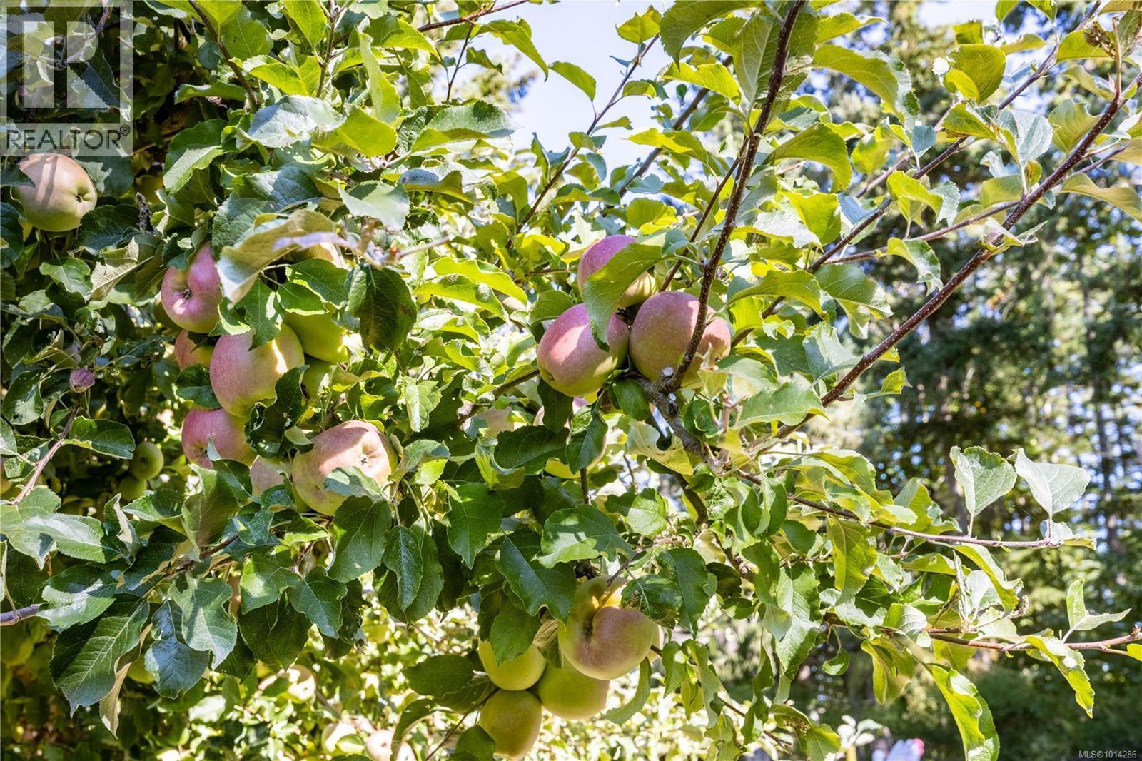 NORTH SAANICH, British Columbia, V8L 5P8, CA, 7 Bedrooms Bedrooms, ,10 BathroomsBathrooms,Residential,For Sale,1950627