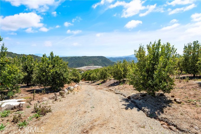 Temecula, California, 92590, United States, ,Land,For Sale,1988862