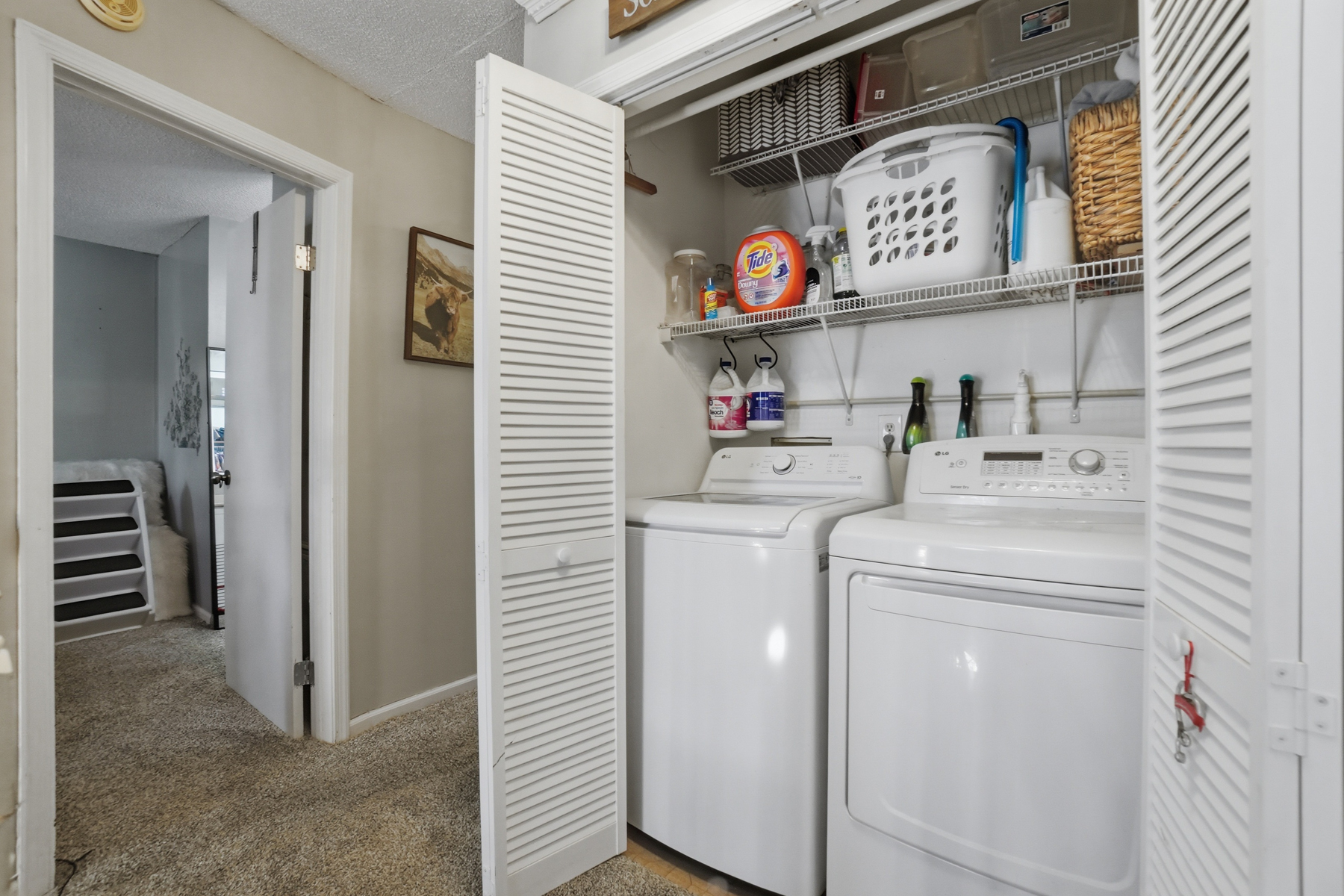  2469 Reagan Avenue, Virginia Beach, VA 23454 - 物件實景