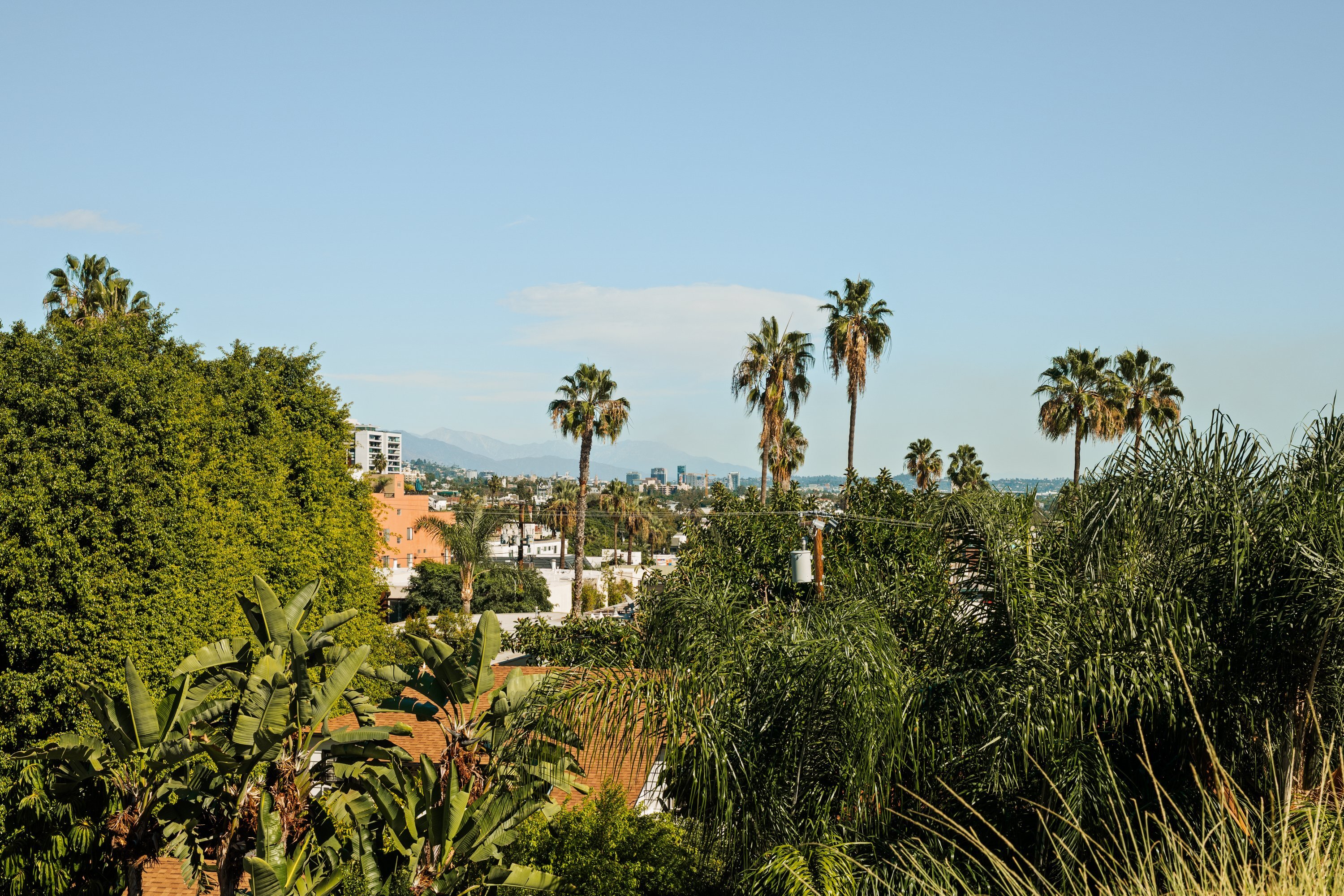  917 Hilldale Avenue - 物件實景