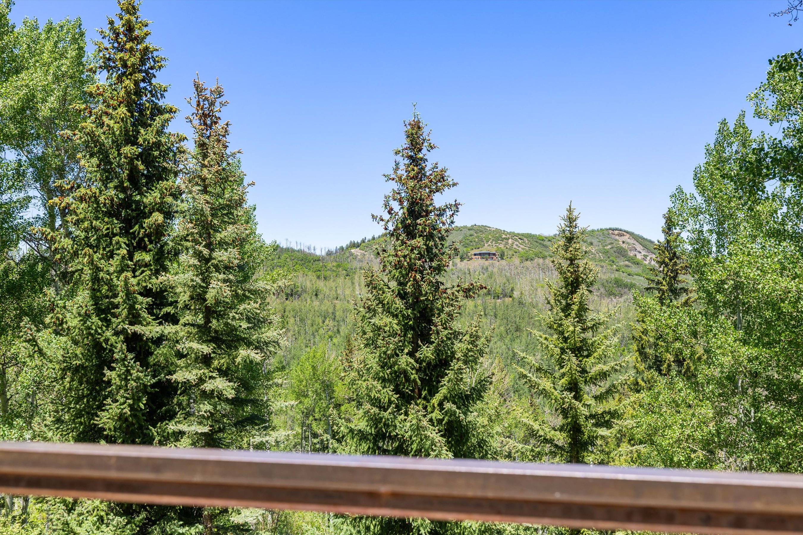  142 Aspen Way, Snowmass Village, CO, 81615 - 物件實景