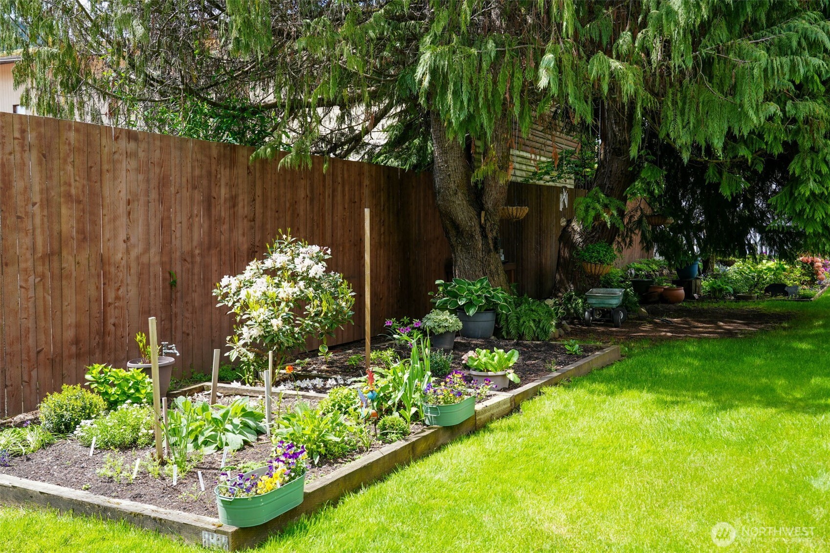 Morton, Washington, 98356, United States, 5 Bedrooms Bedrooms, ,3 BathroomsBathrooms,Residential,For Sale,1931990