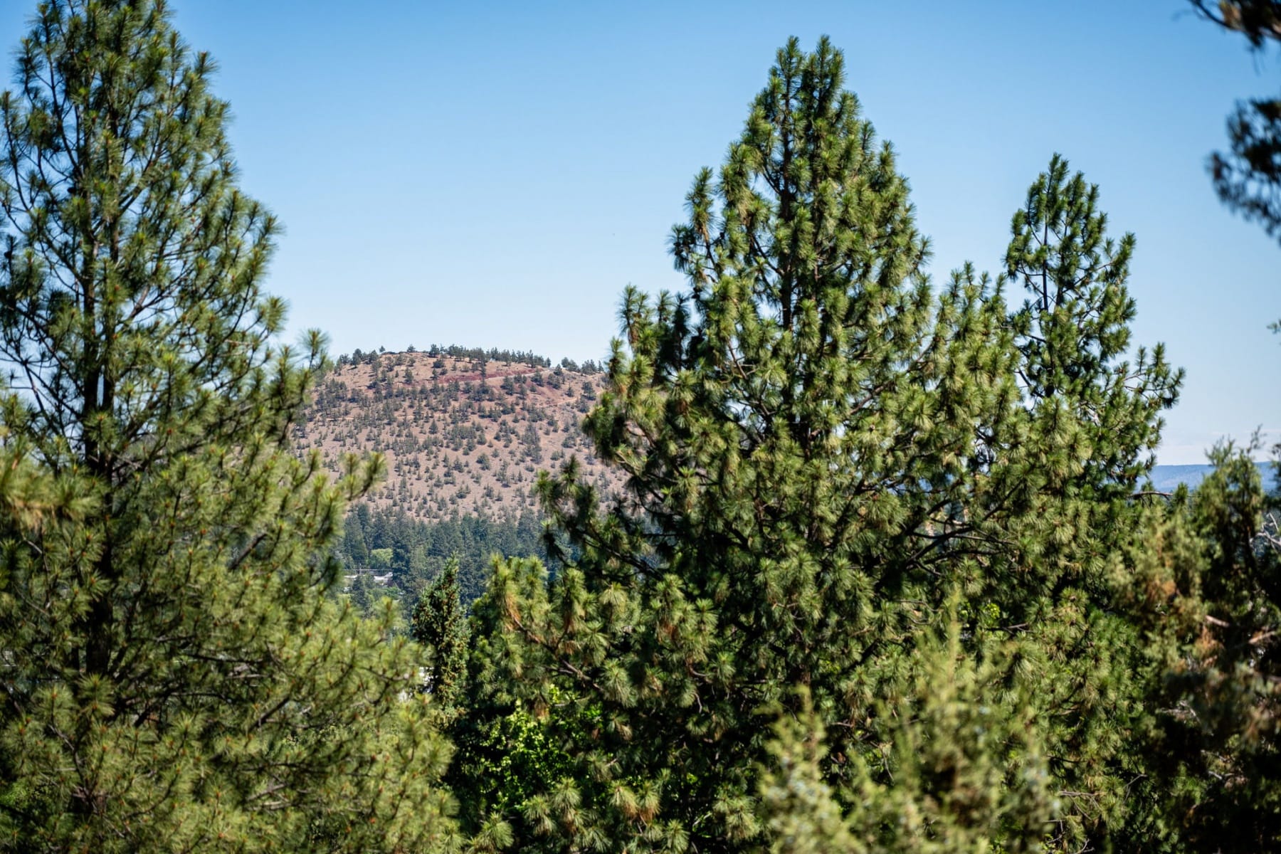 2258 NW 6th Street Bend, OR 97703 - 物件實景