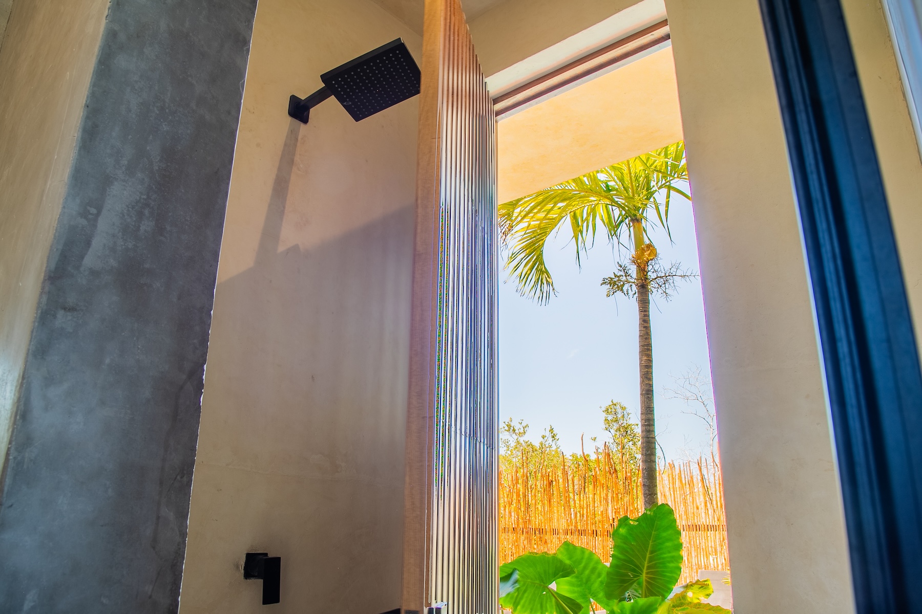  Palafito - Exclusive Eco-Resort & Boutique Hotel - 物件實景
