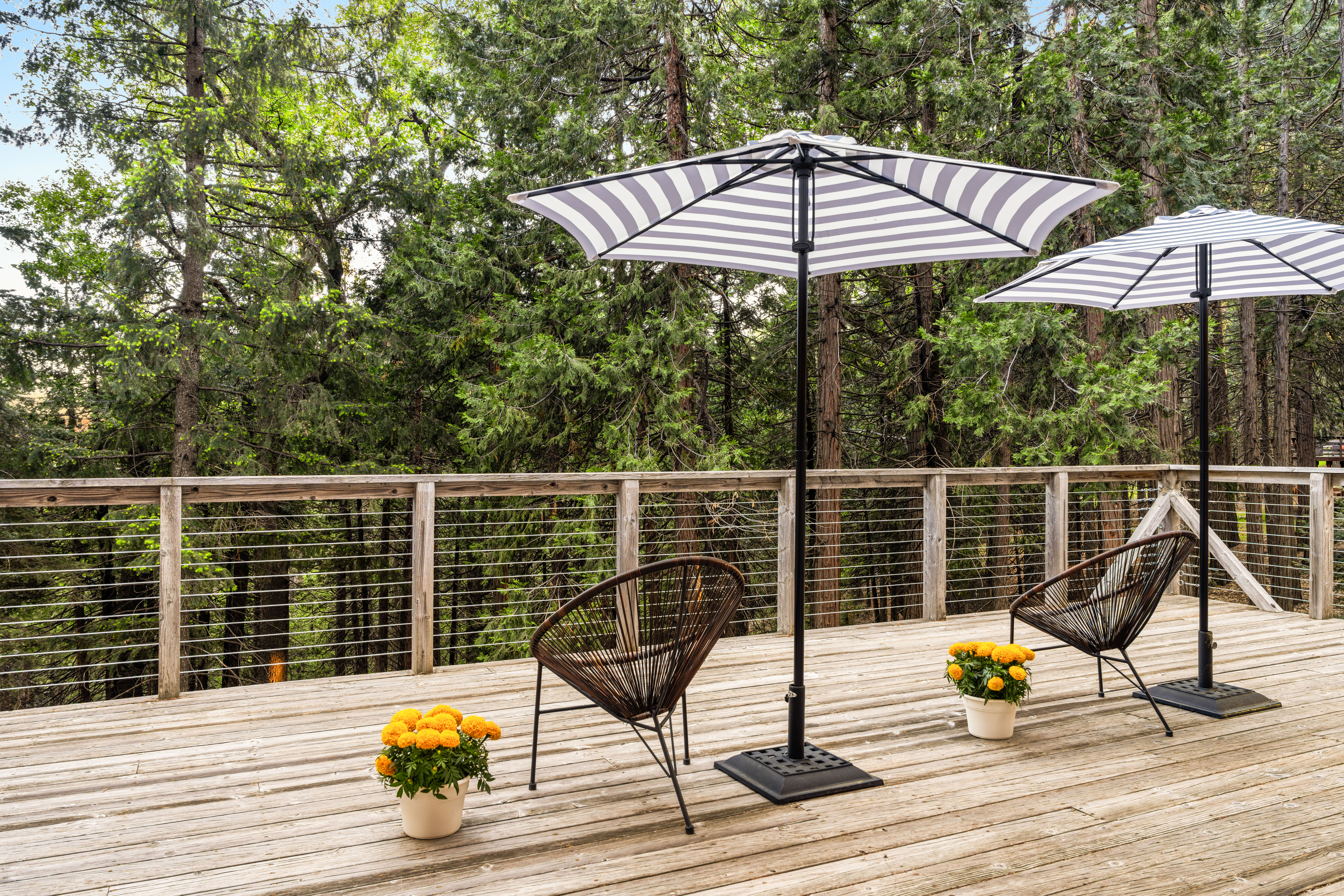  6742 Diamond Drive, Pollock Pines, CA 95726 - 物件實景
