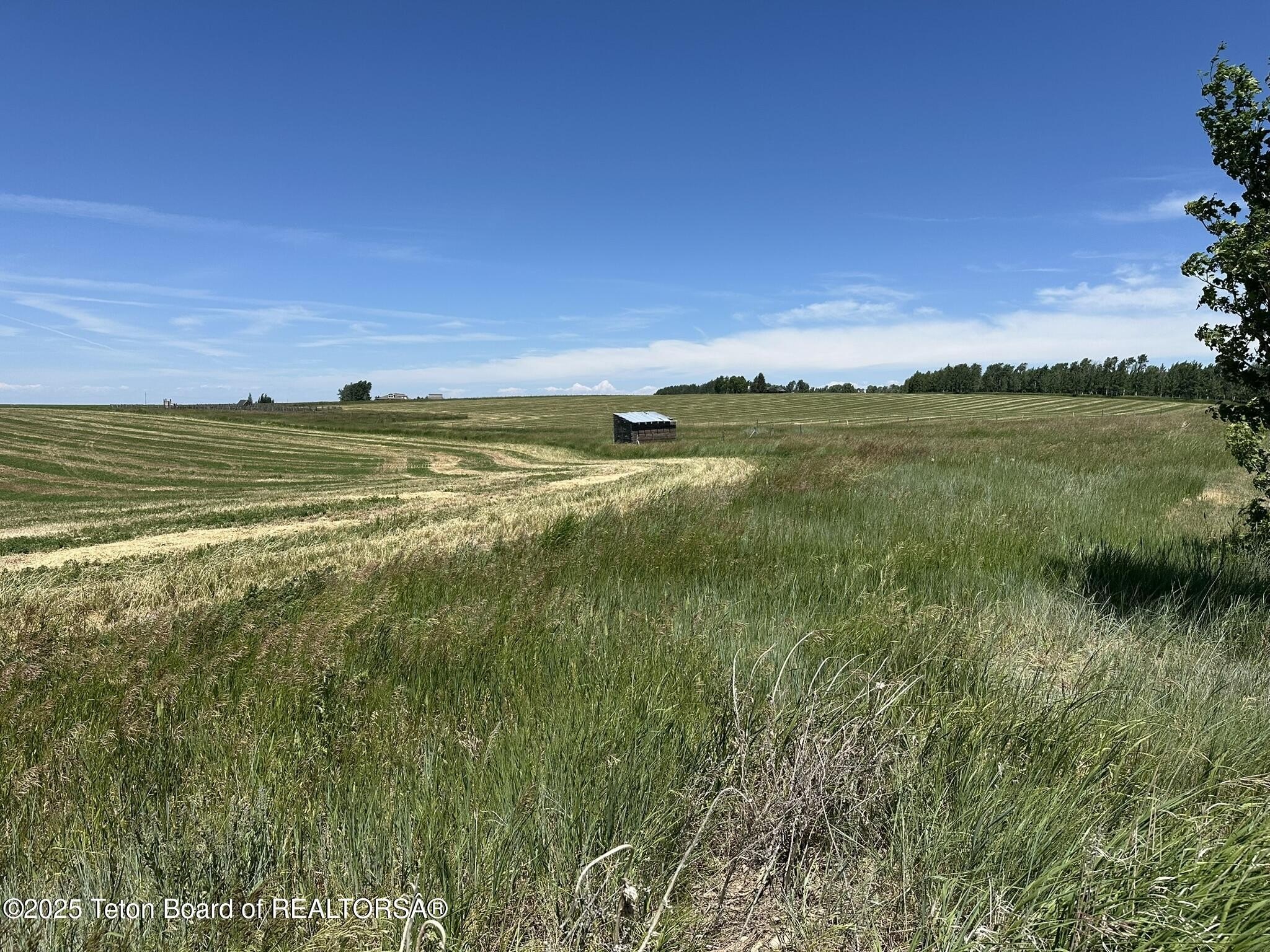 Felt, Idaho, 83424, United States, 4 Bedrooms Bedrooms, ,3 BathroomsBathrooms,Residential,For Sale,1974007