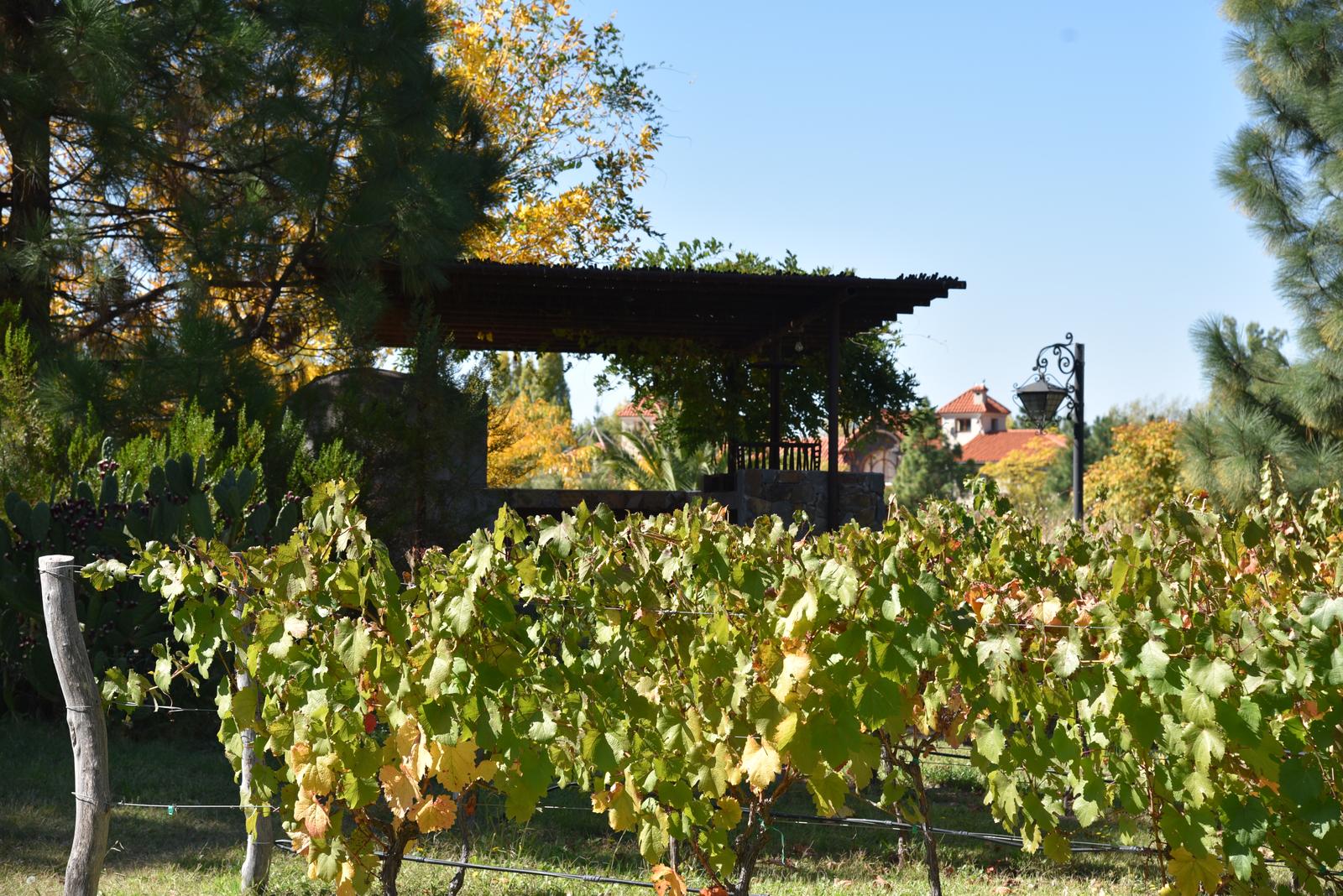 Lujan De Cuyo, AR-M, AR, 5 Bedrooms Bedrooms, ,8 BathroomsBathrooms,Residential,For Sale,1999071