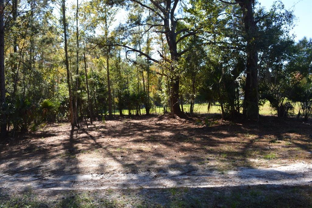 Sanford, Florida, 32773, United States, ,Land,For Sale,1987674