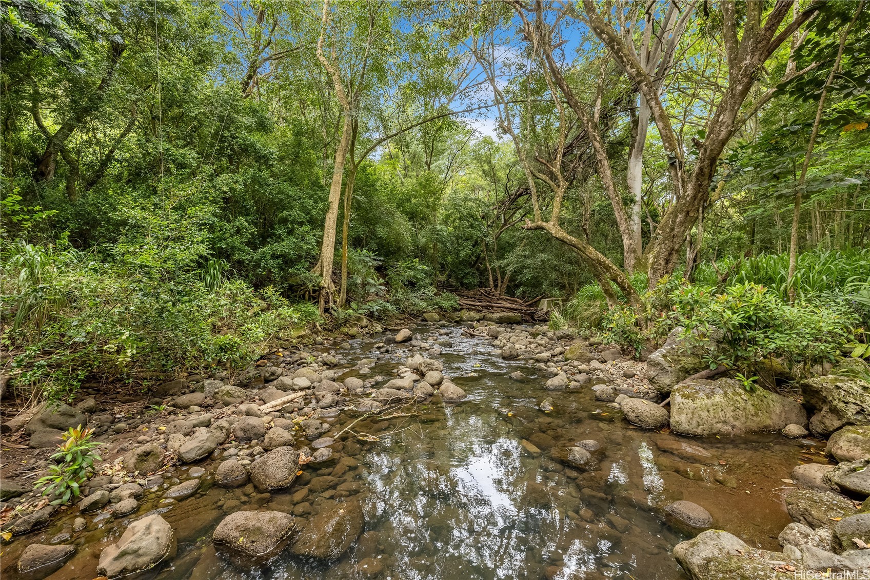 Aiea, Hawaii, 96701, United States, ,Land,For Sale,1987788