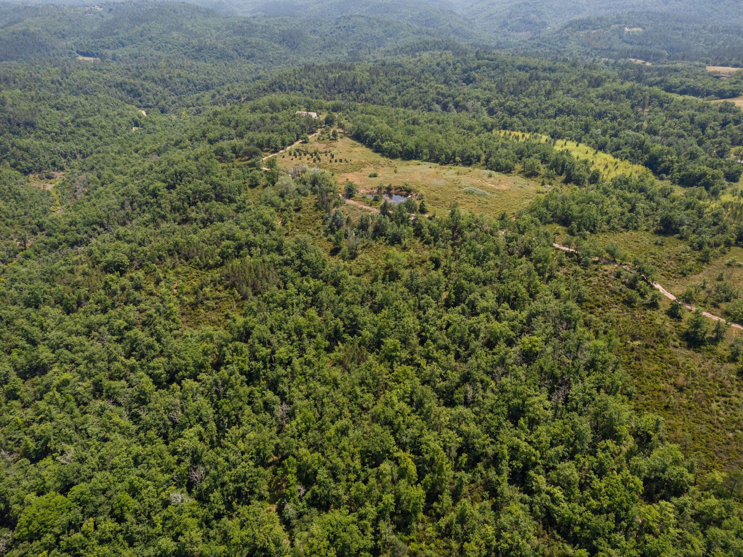  Organic estate with vineyard potential and panoramic views, over 44 Hectares in… - 物件實景