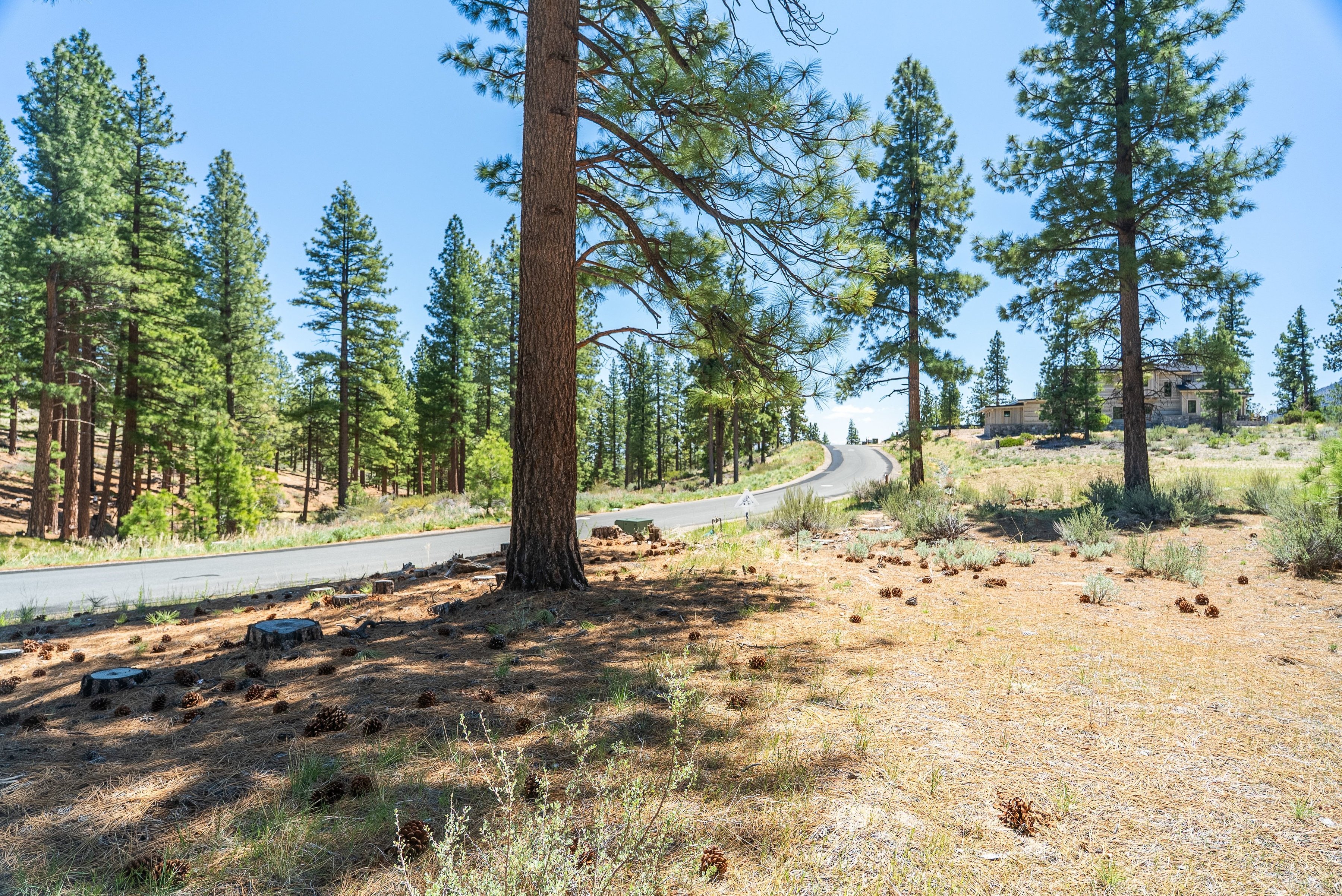  Two Extraordinary Pieces of Land in Clear Creek Tahoe - 物件實景