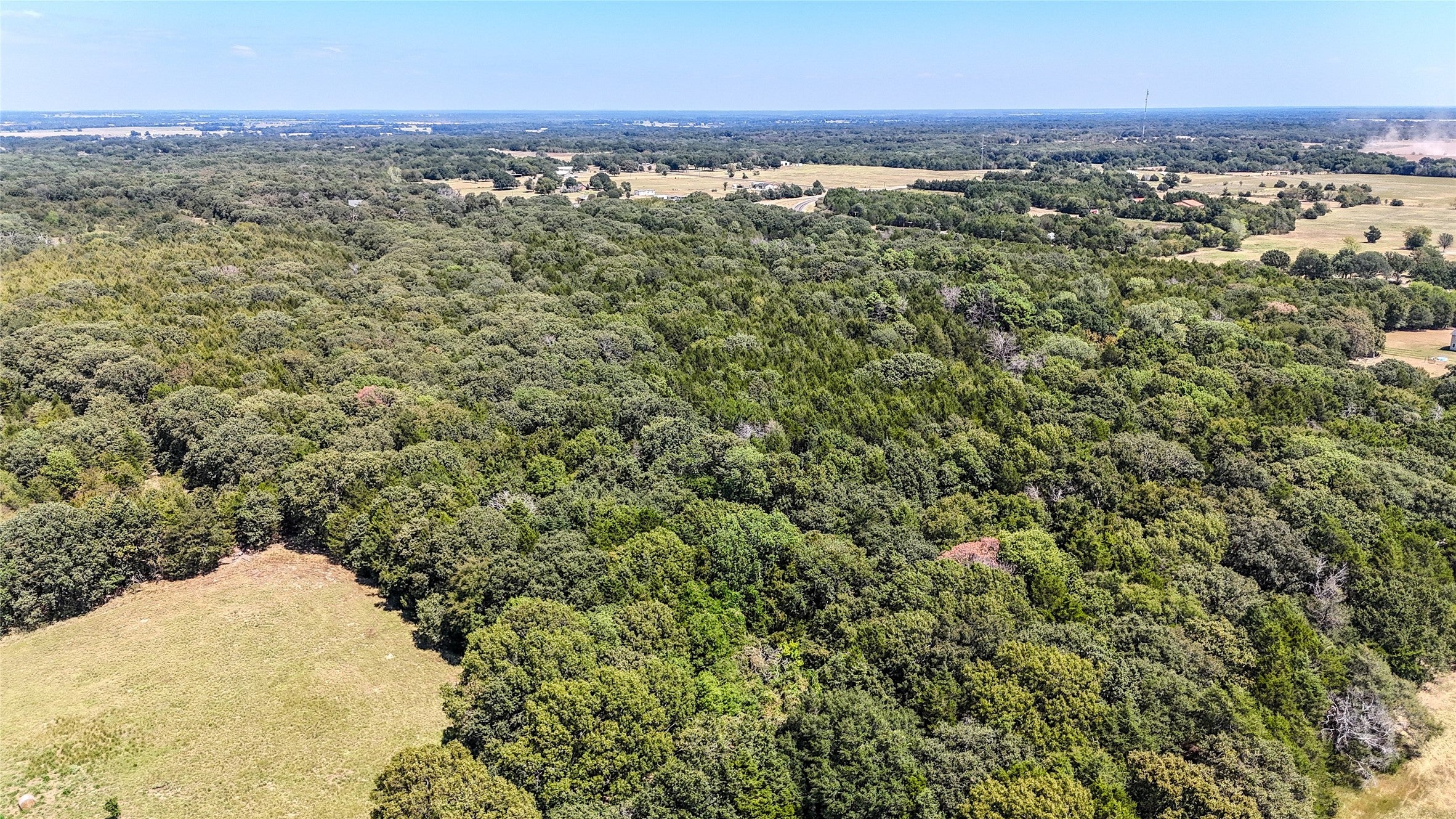Ivanhoe, Texas, 75447, United States, ,Land,For Sale,1973742