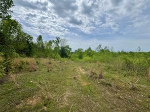 Naples, Texas, 75568, United States, ,Land,For Sale,1786234