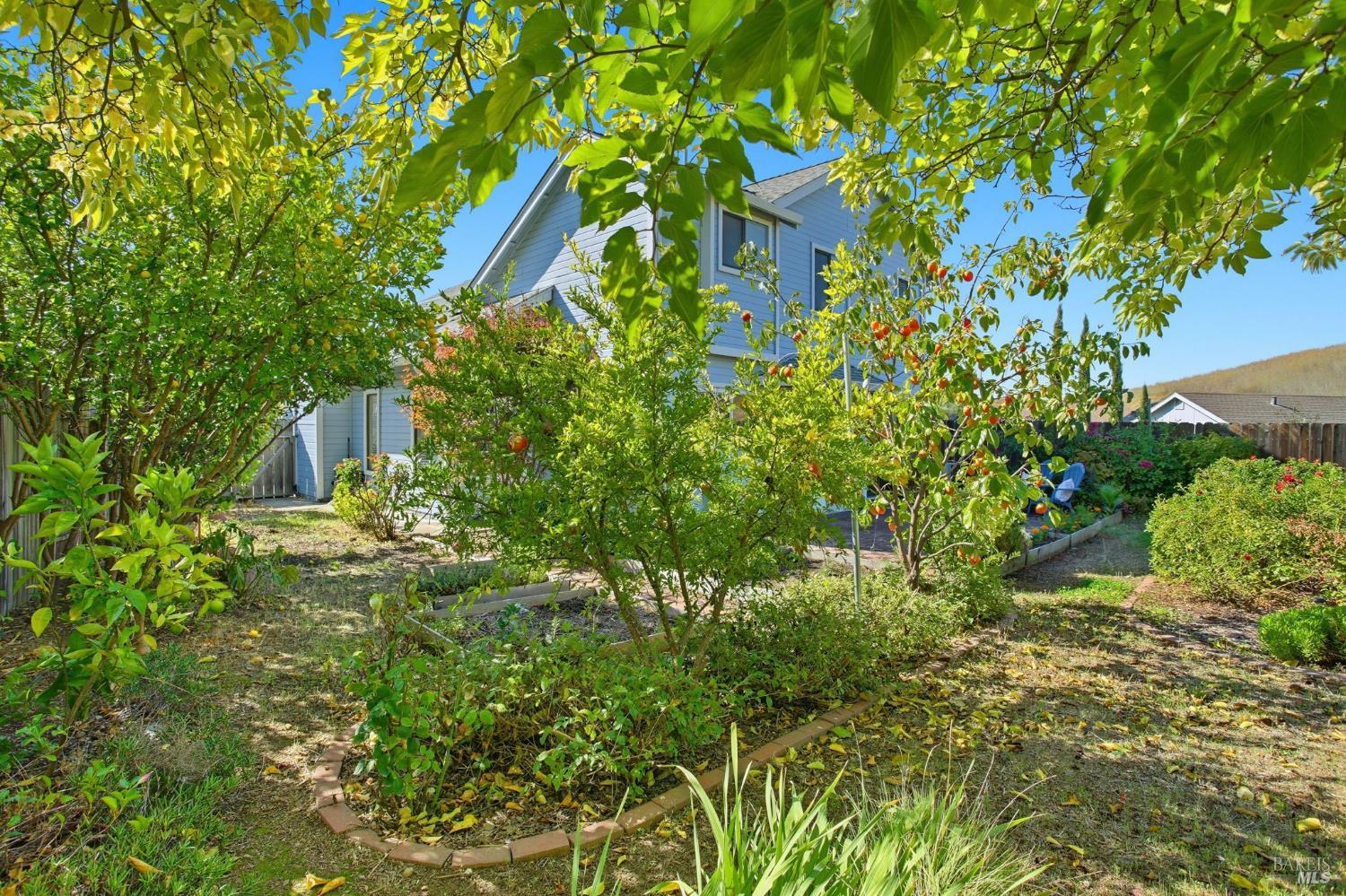 Fairfield, California, 94534, United States, 4 Bedrooms Bedrooms, ,3 BathroomsBathrooms,Residential,For Sale,1970251