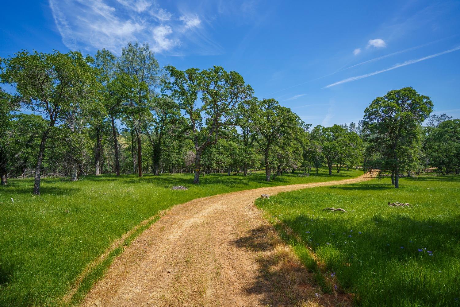 Lincoln, California, 95648, United States, ,Land,For Sale,1784125